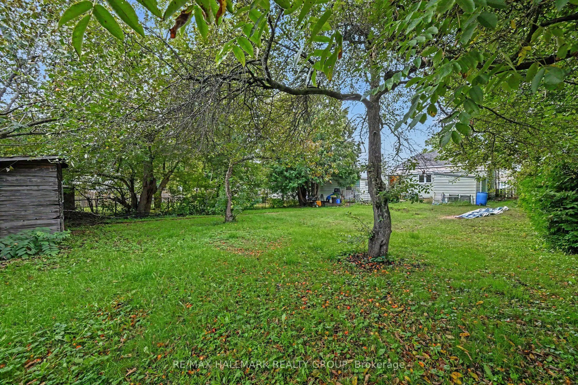 617 Roy Street W