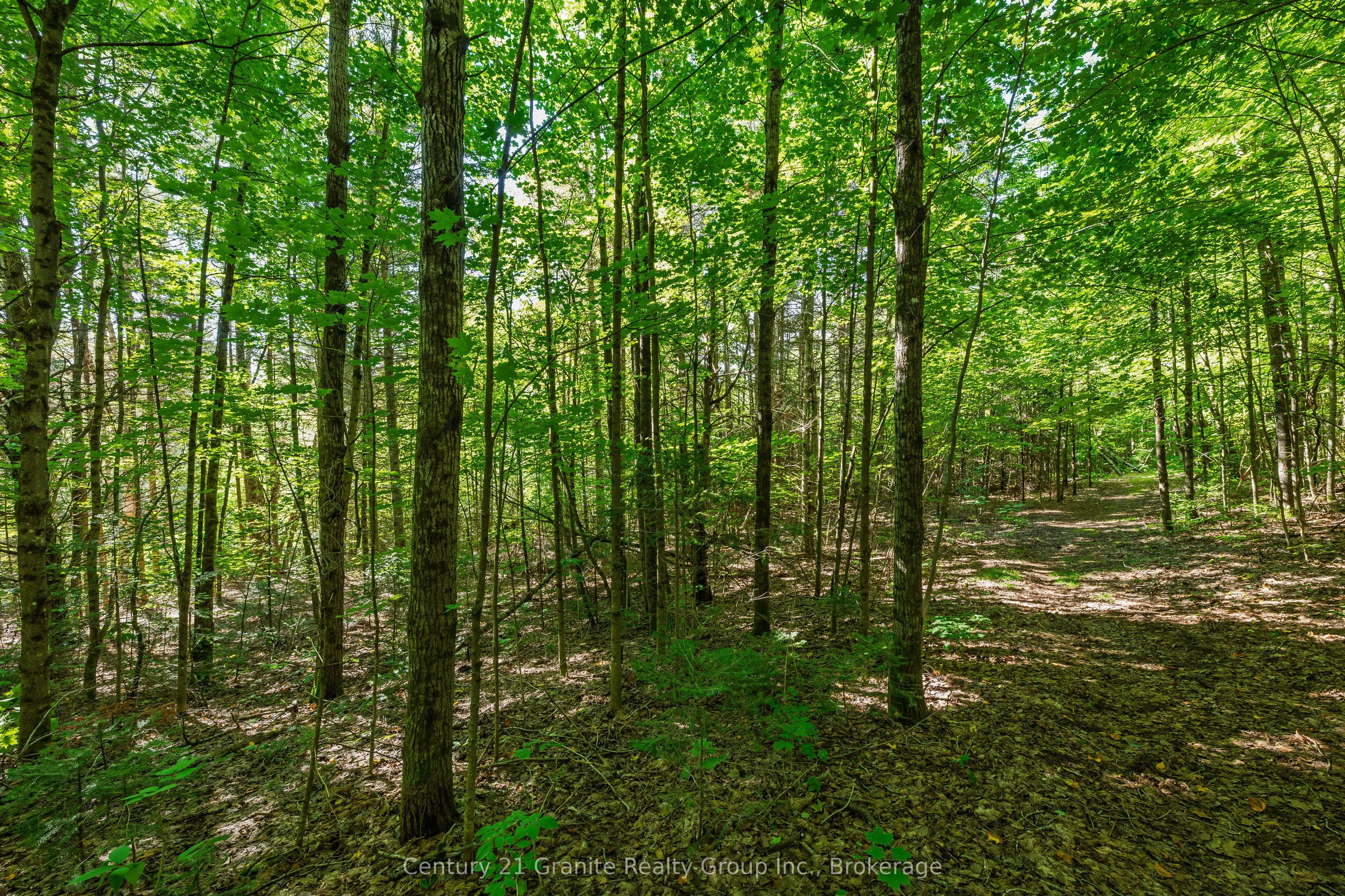 0 Irondale Road