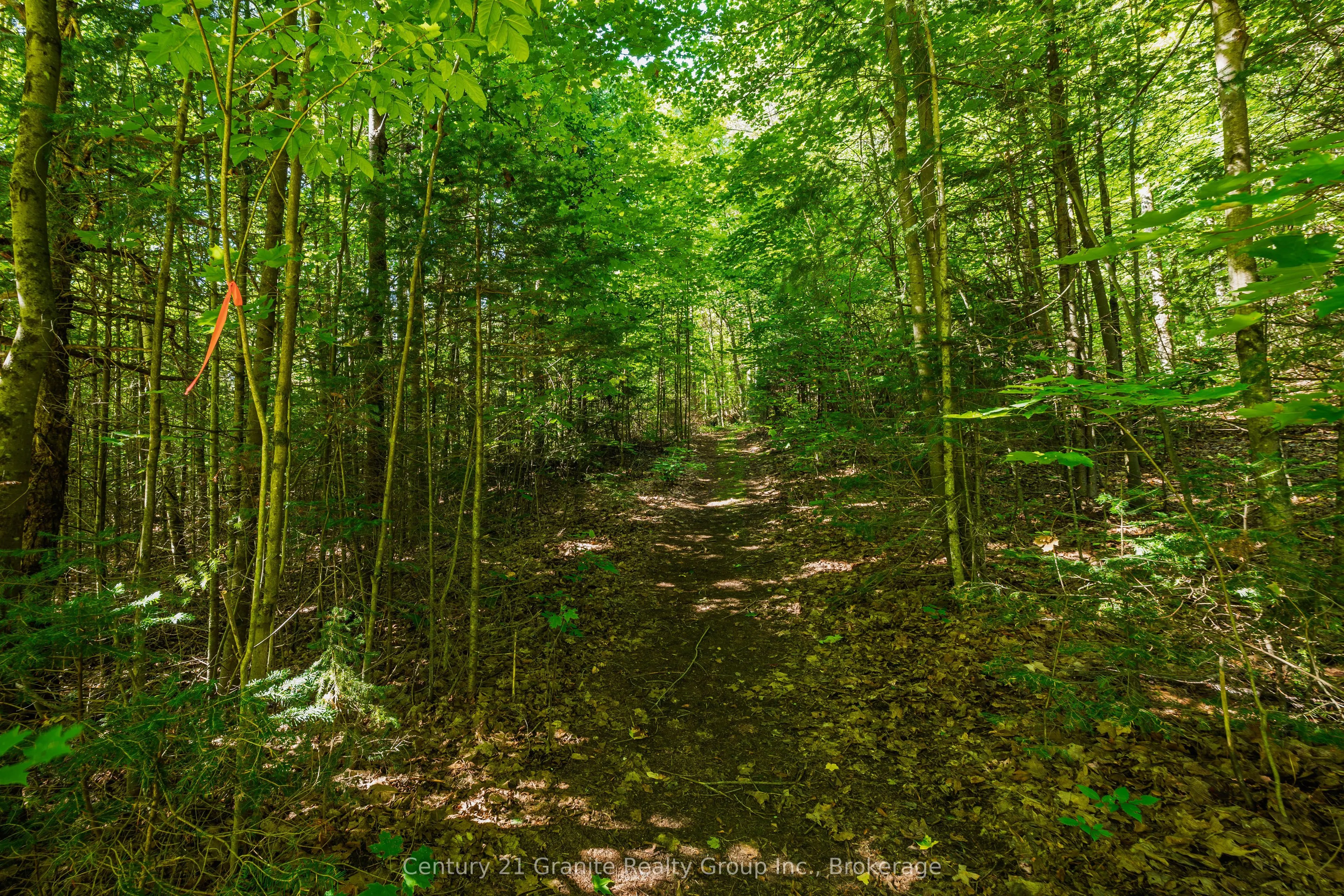 0 Irondale Road