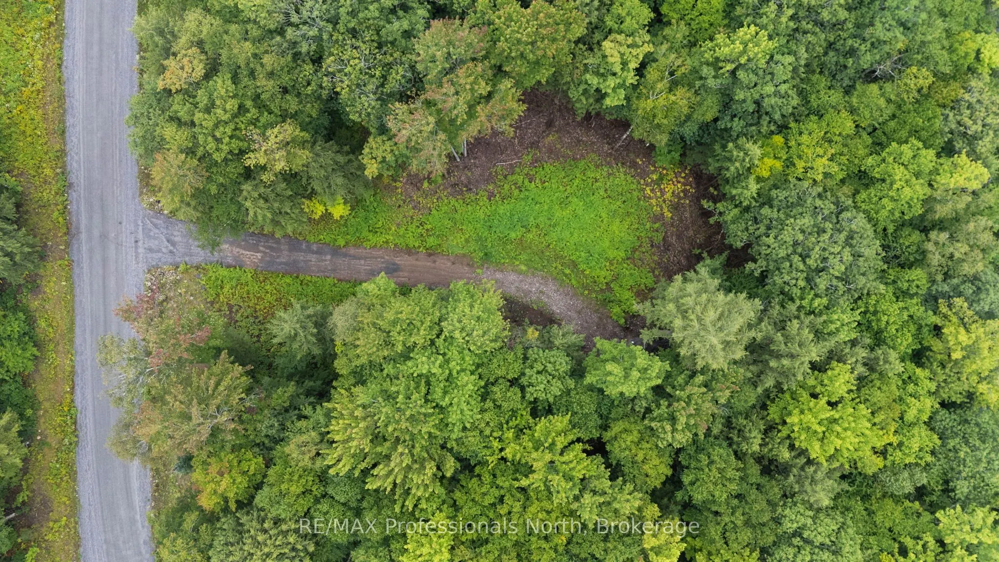 1247 Hawk Valley Road