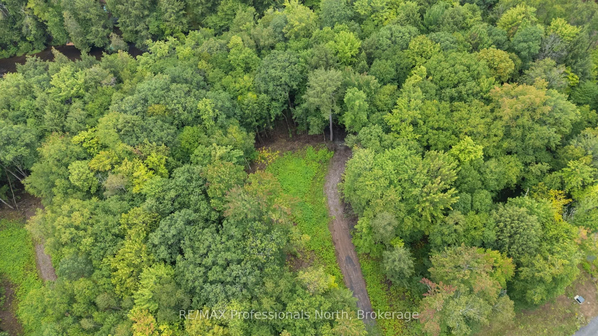 1247 Hawk Valley Road