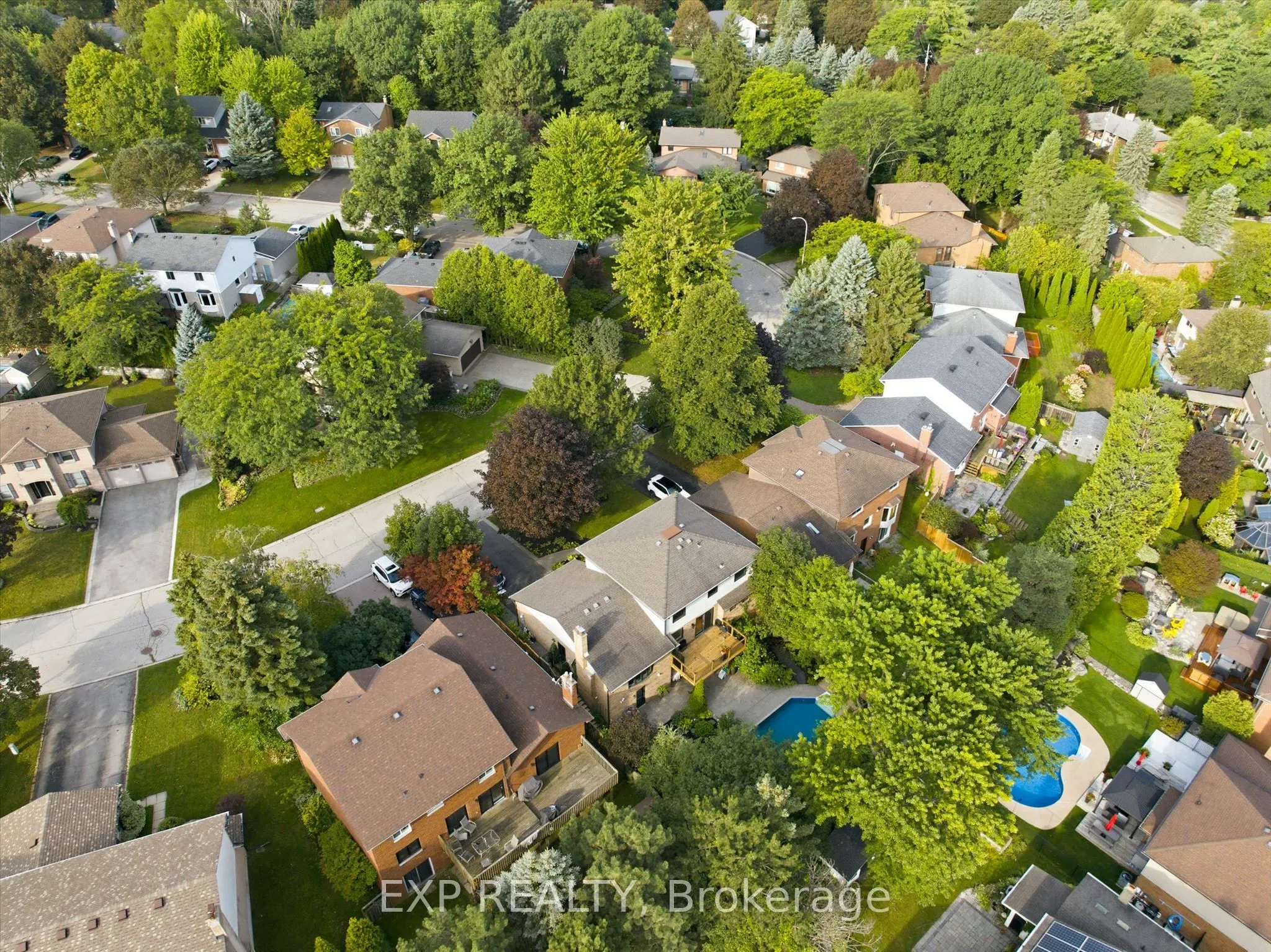 51 Chatterson Drive