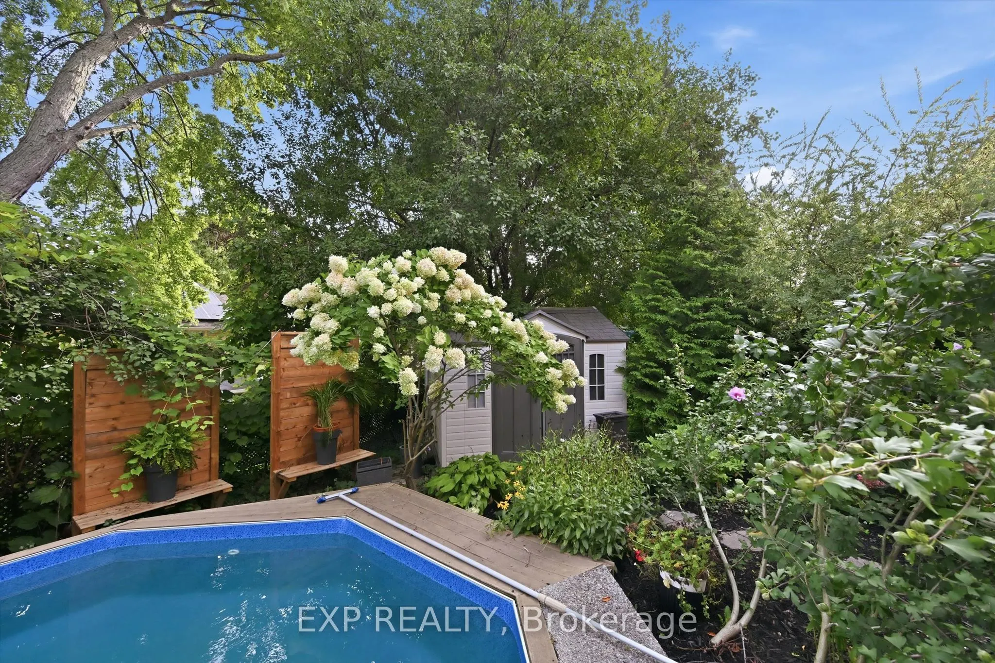 51 Chatterson Drive