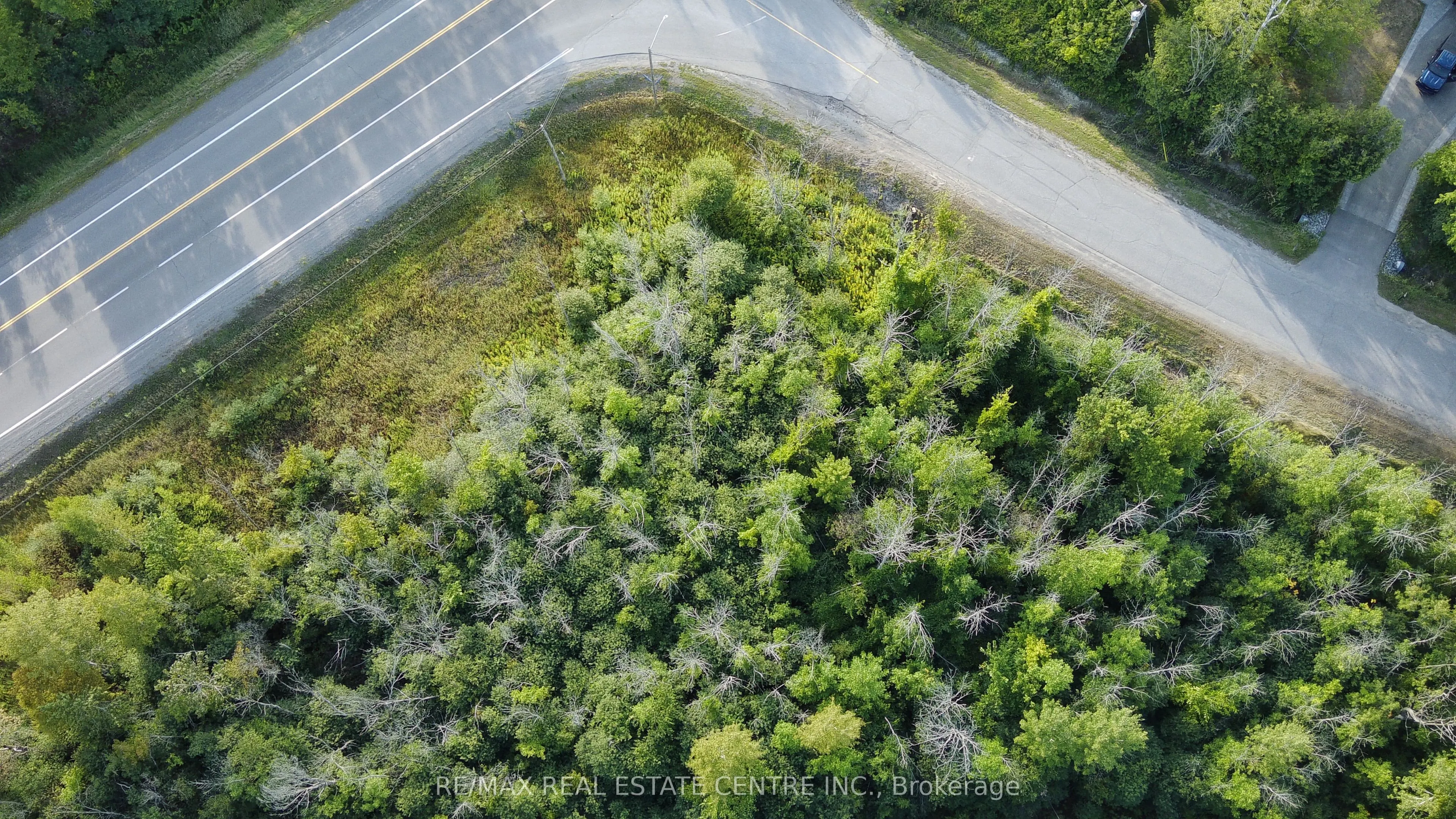 41 CONCESSION 4 Road #41