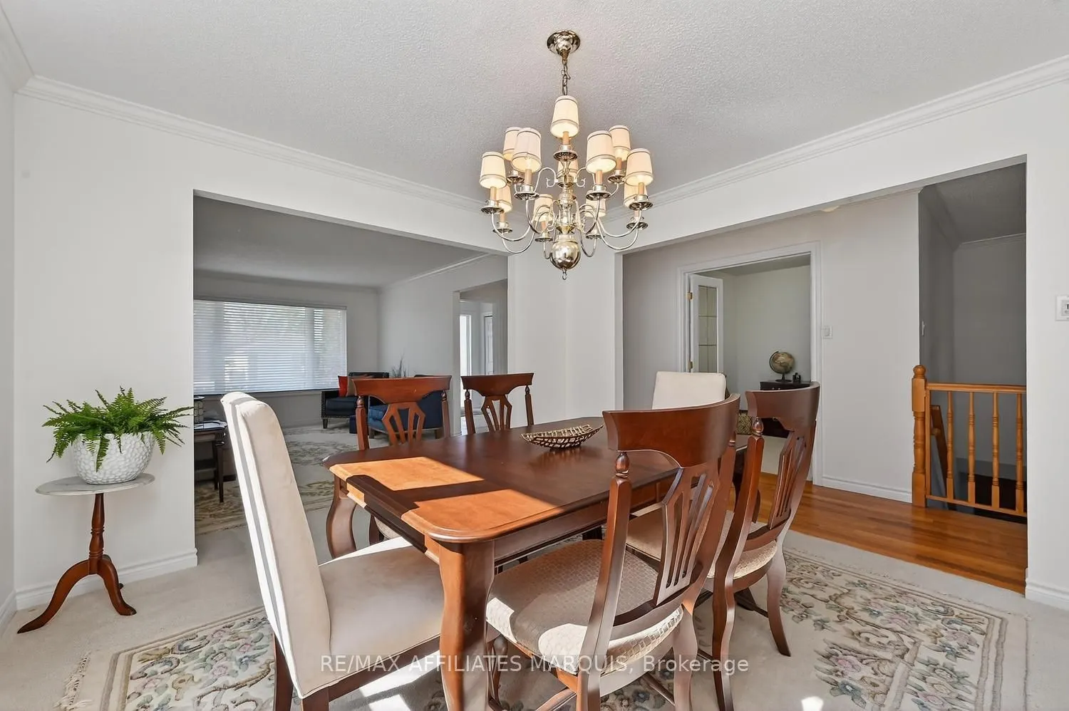 11 Decaria Boulevard