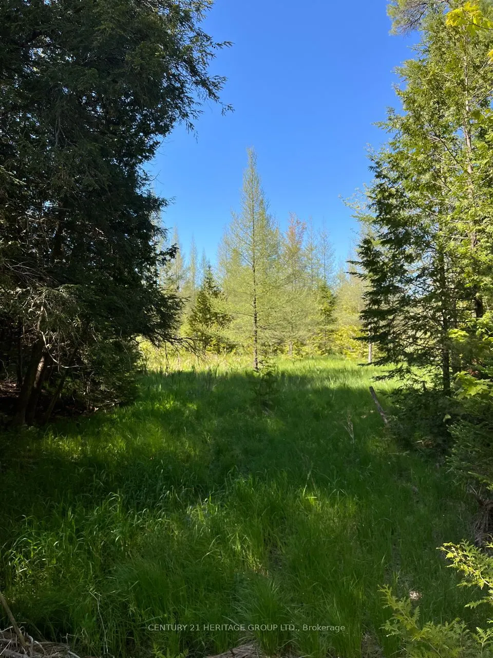 580223 SIDEROAD 60