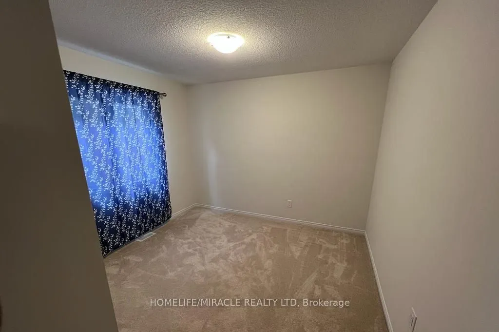 8702 Chickory Trail
