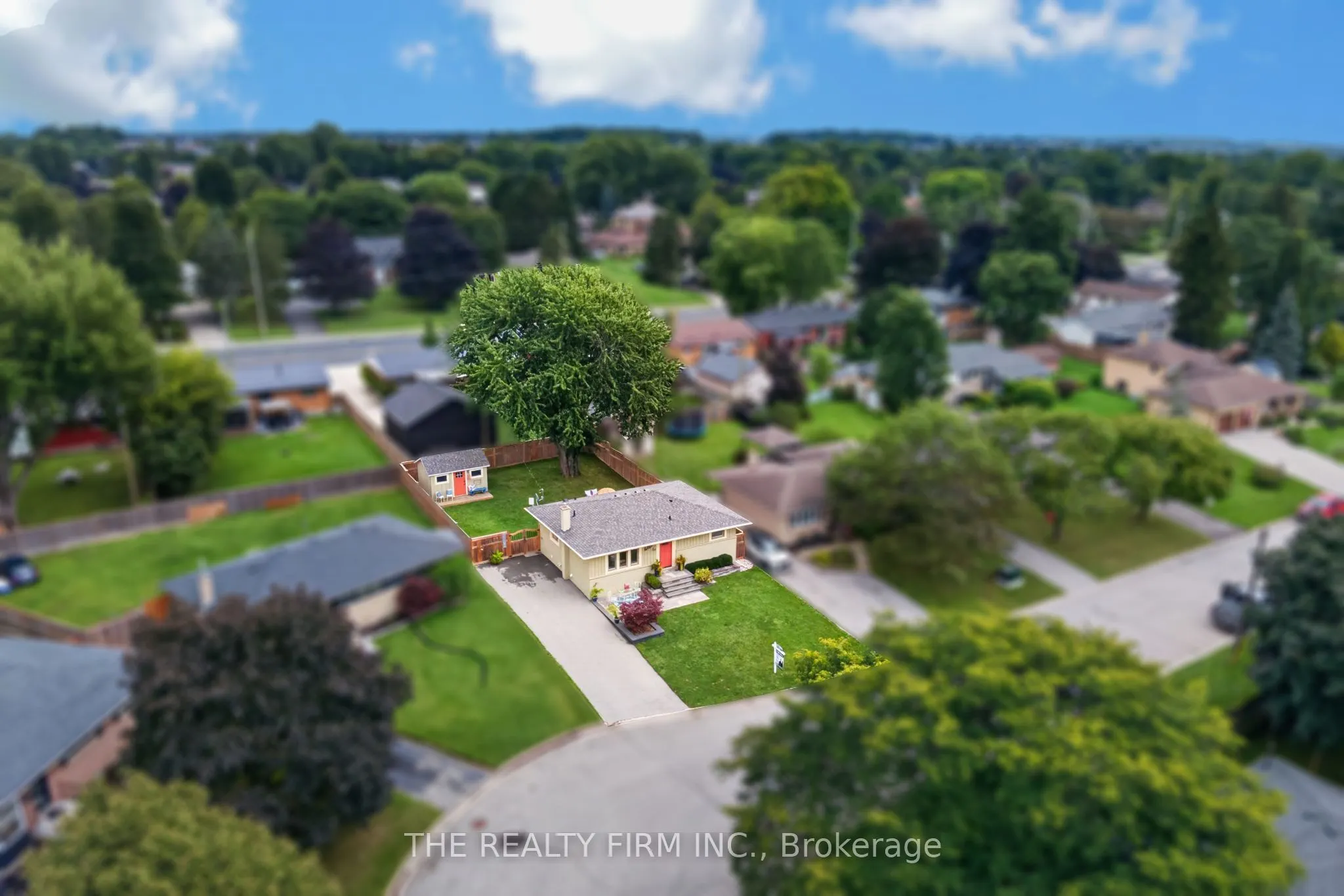 50 Sparta Street