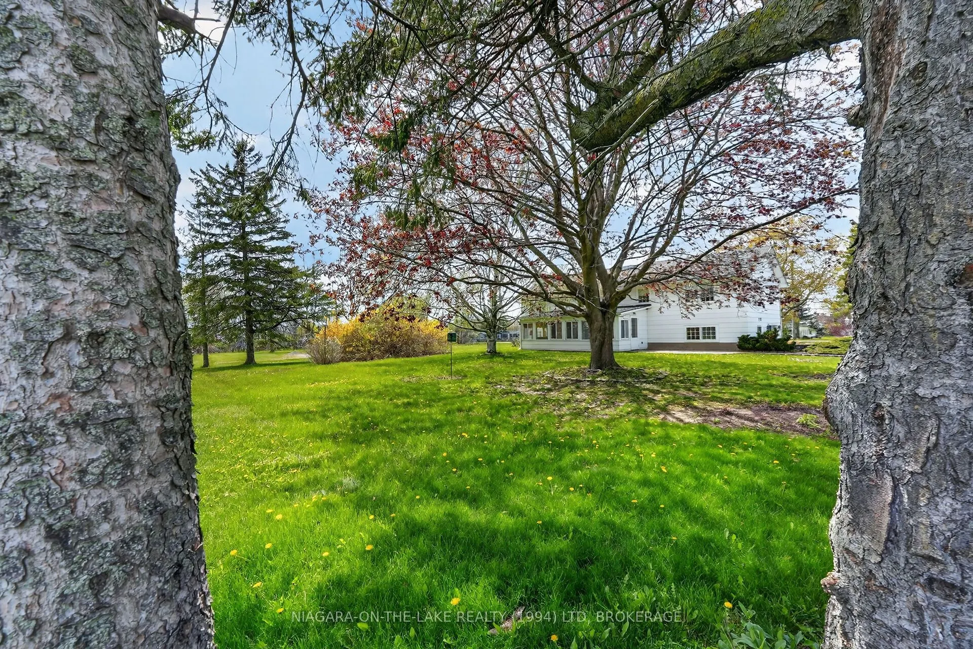 541 Empire Road
