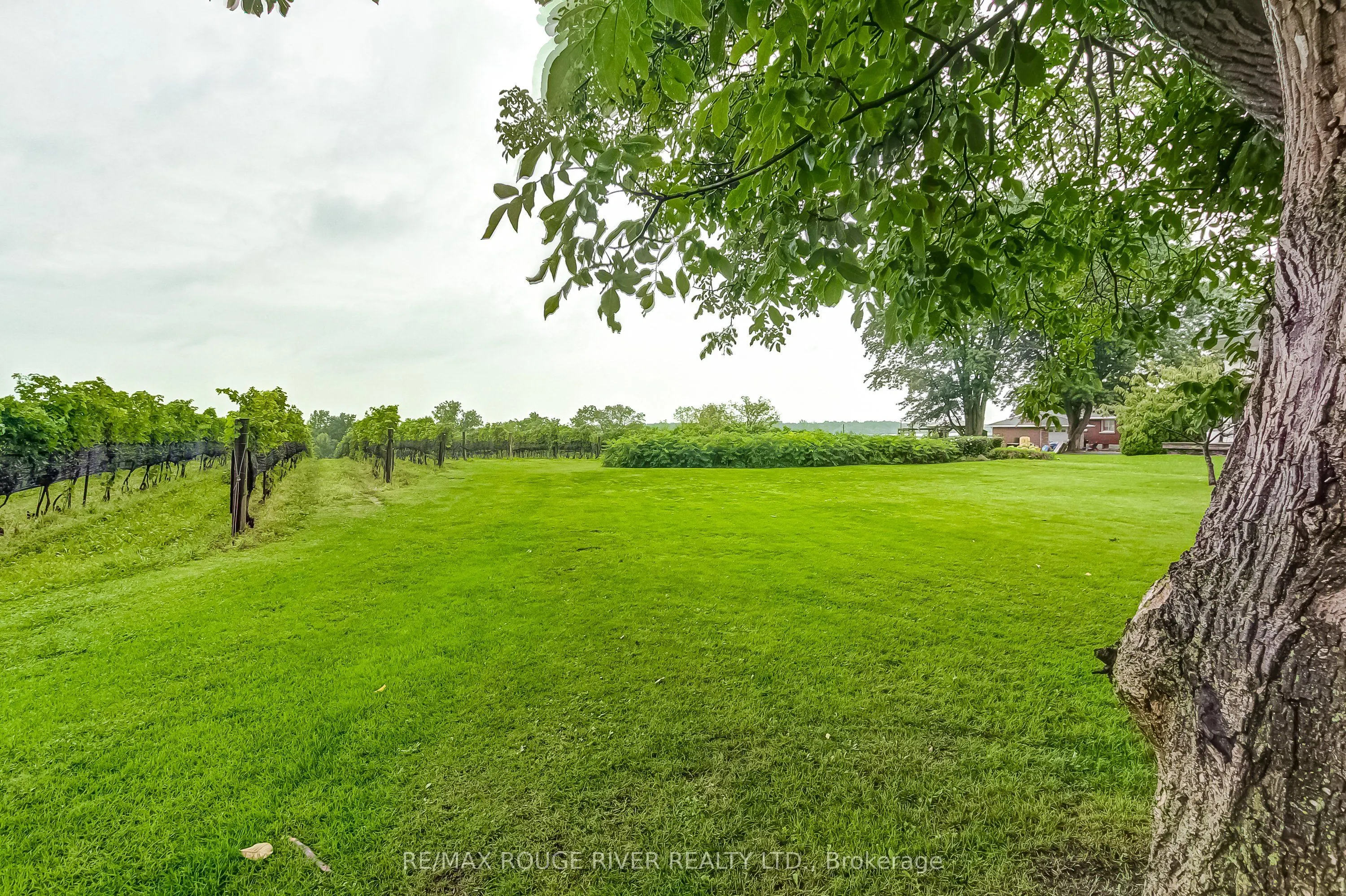 290 Four Mile Creek Road