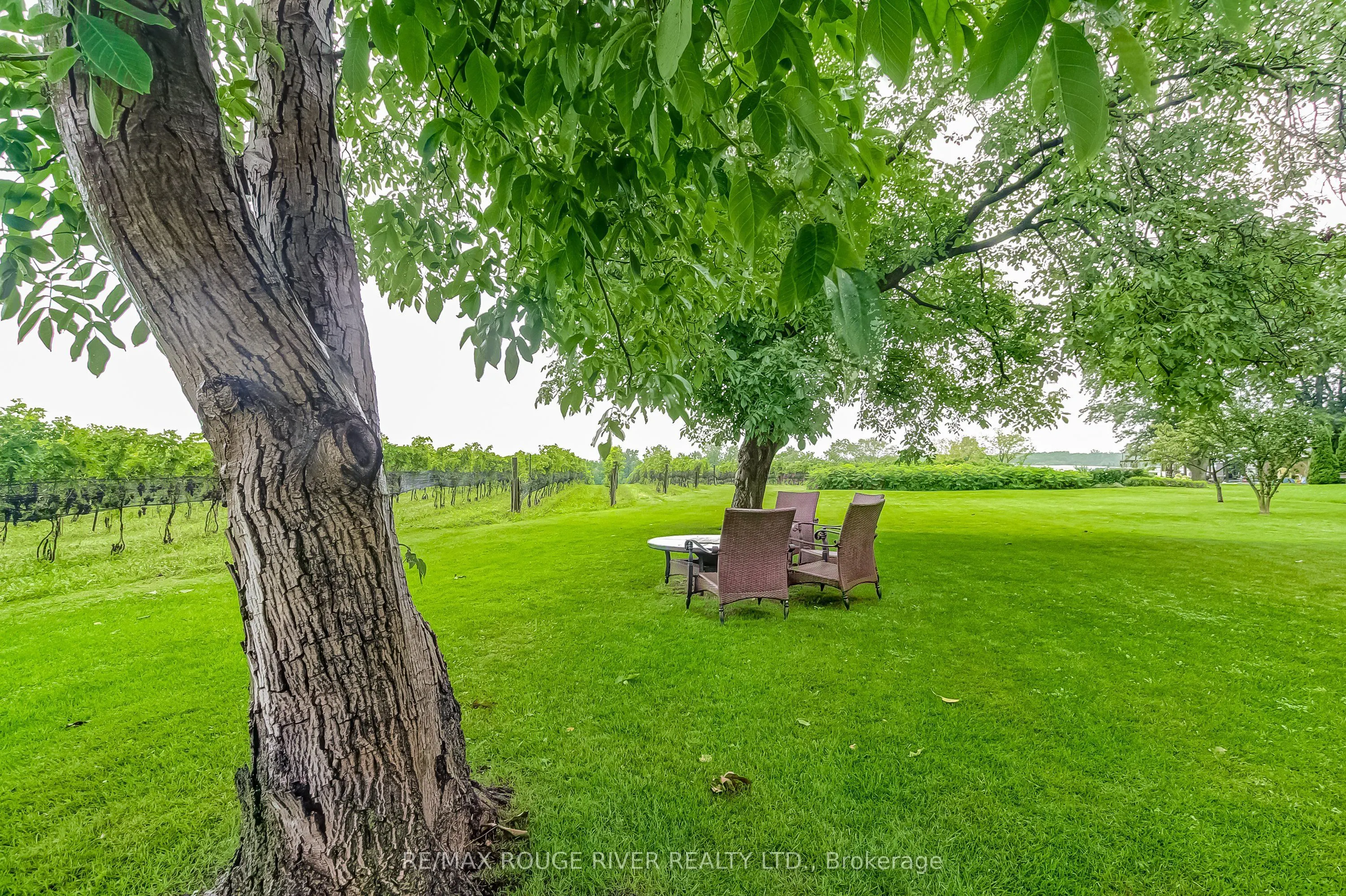290 Four Mile Creek Road