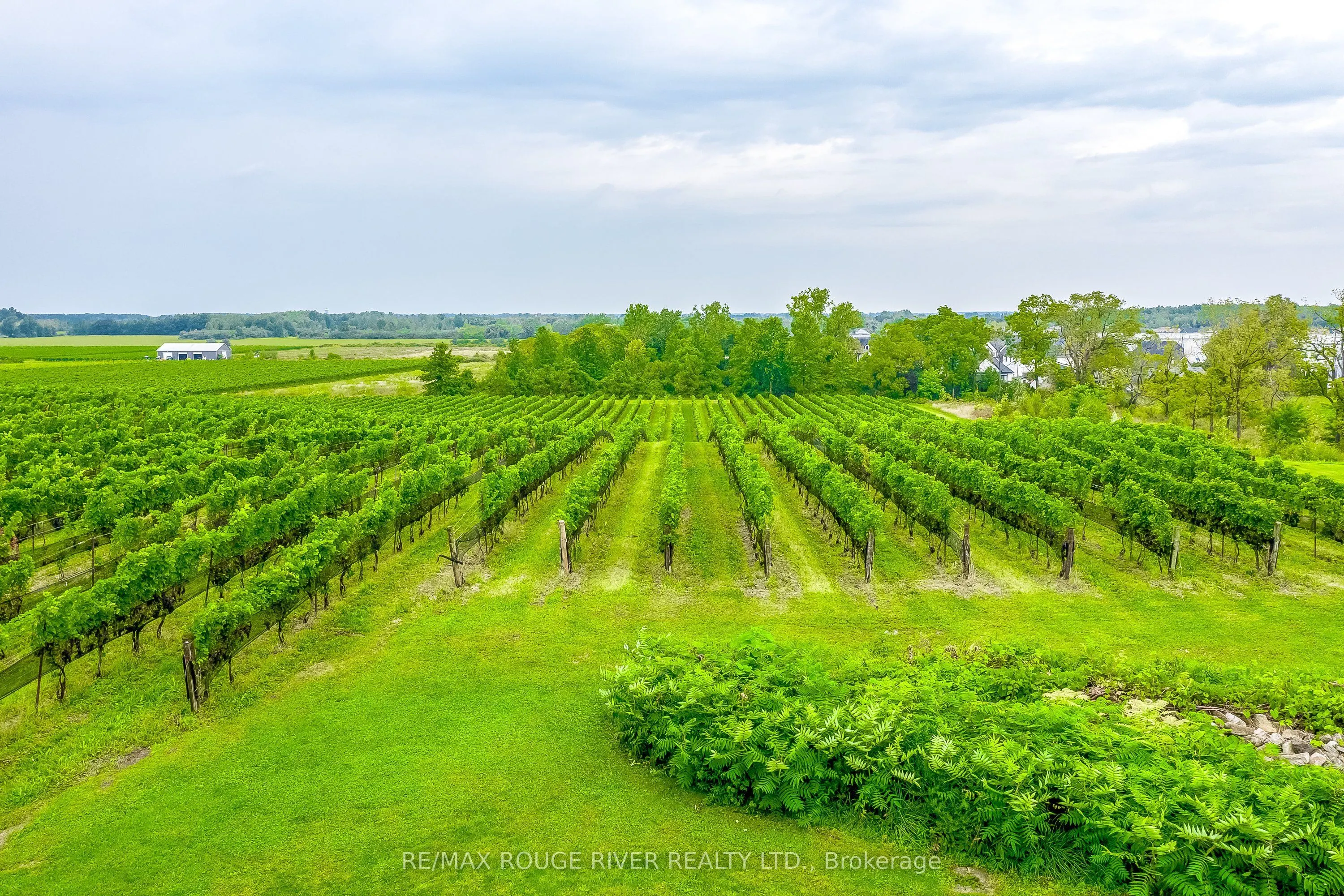 290 Four Mile Creek Road
