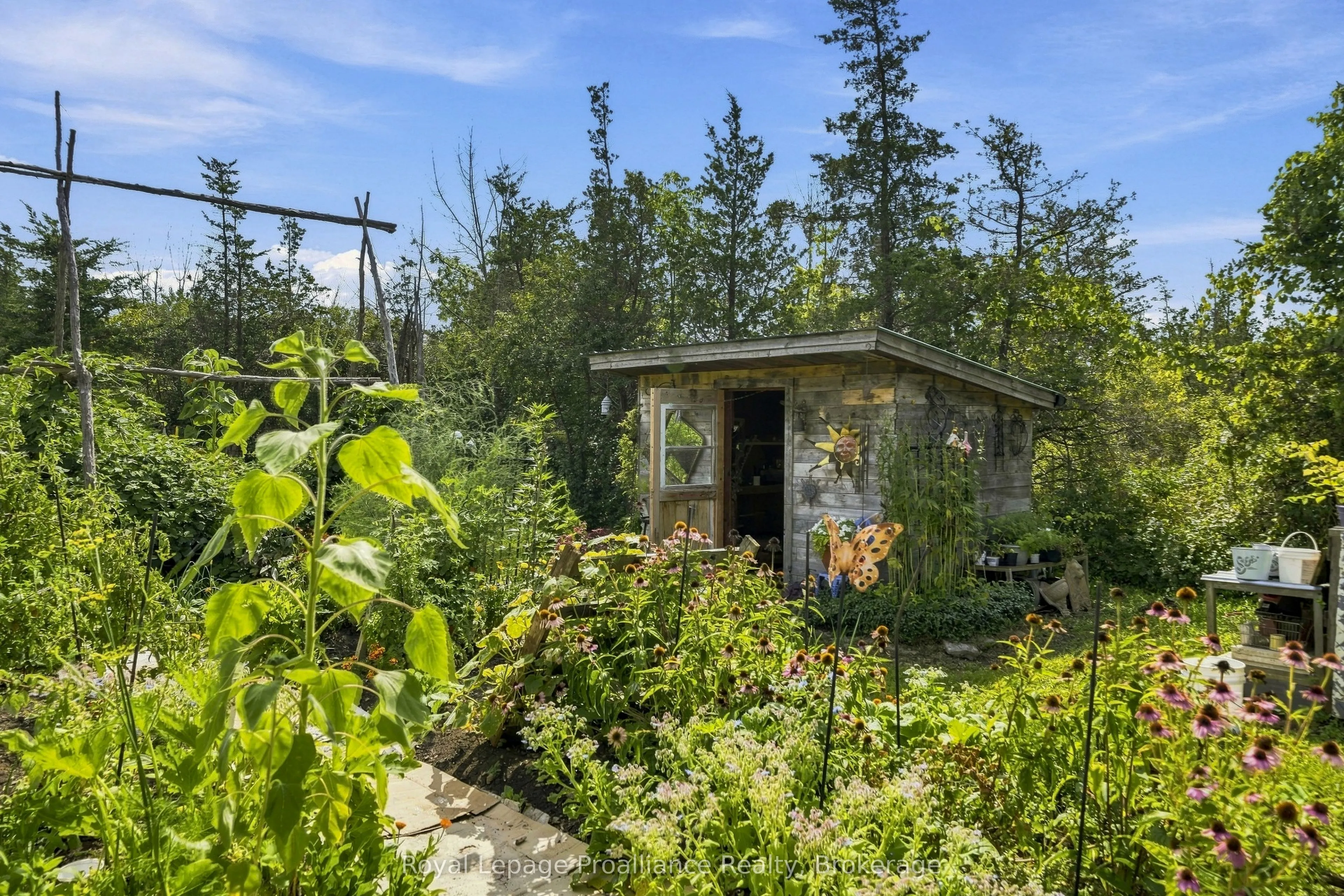 3646 County Road 8