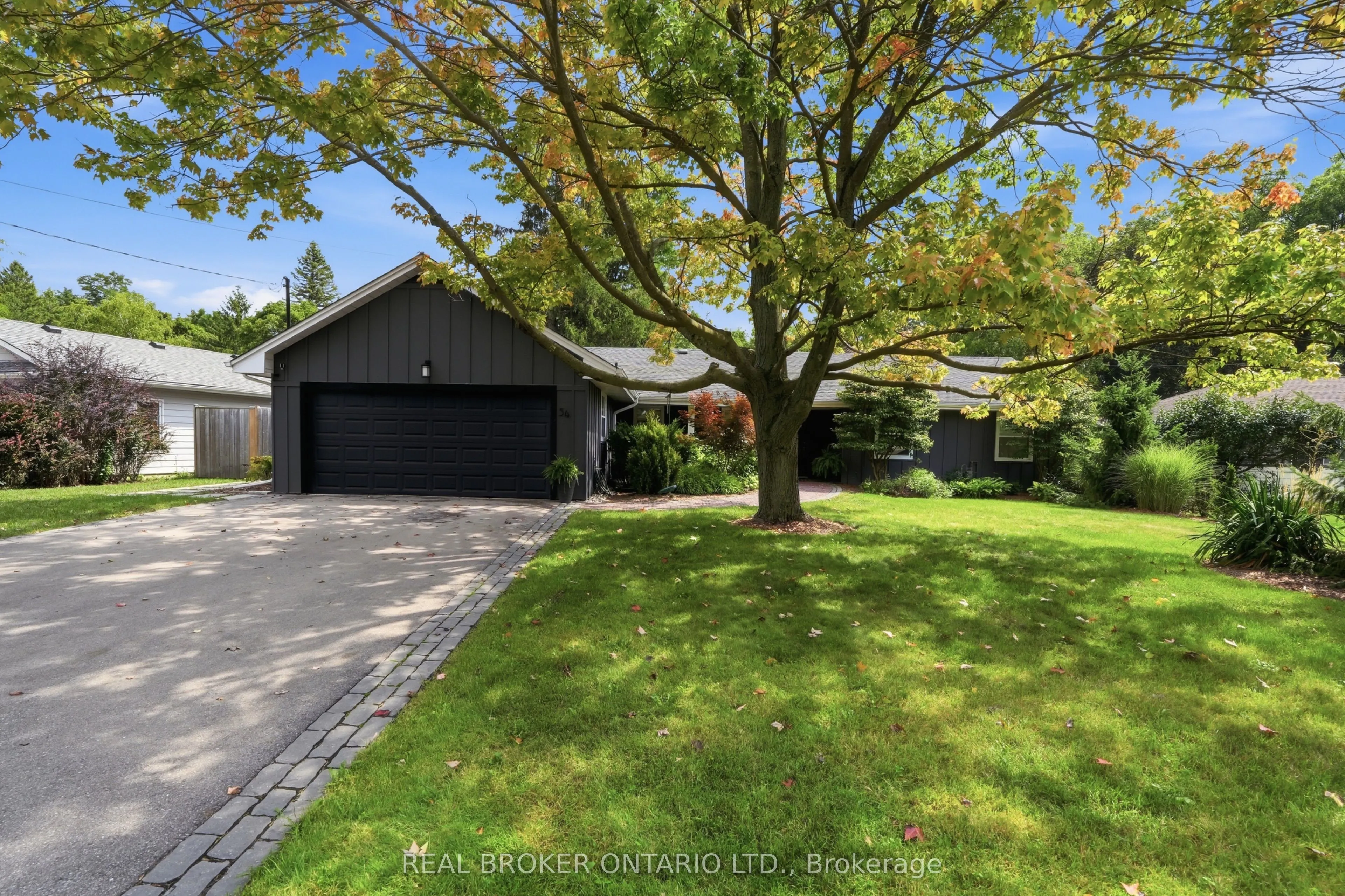 54 Mayfair Avenue