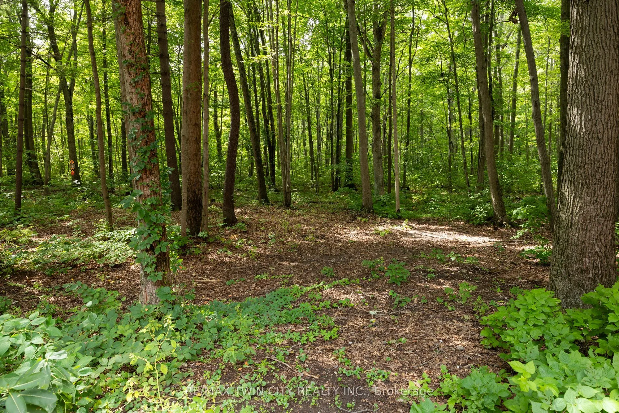 2605 WINDHAM EAST QUARTER LINE Road