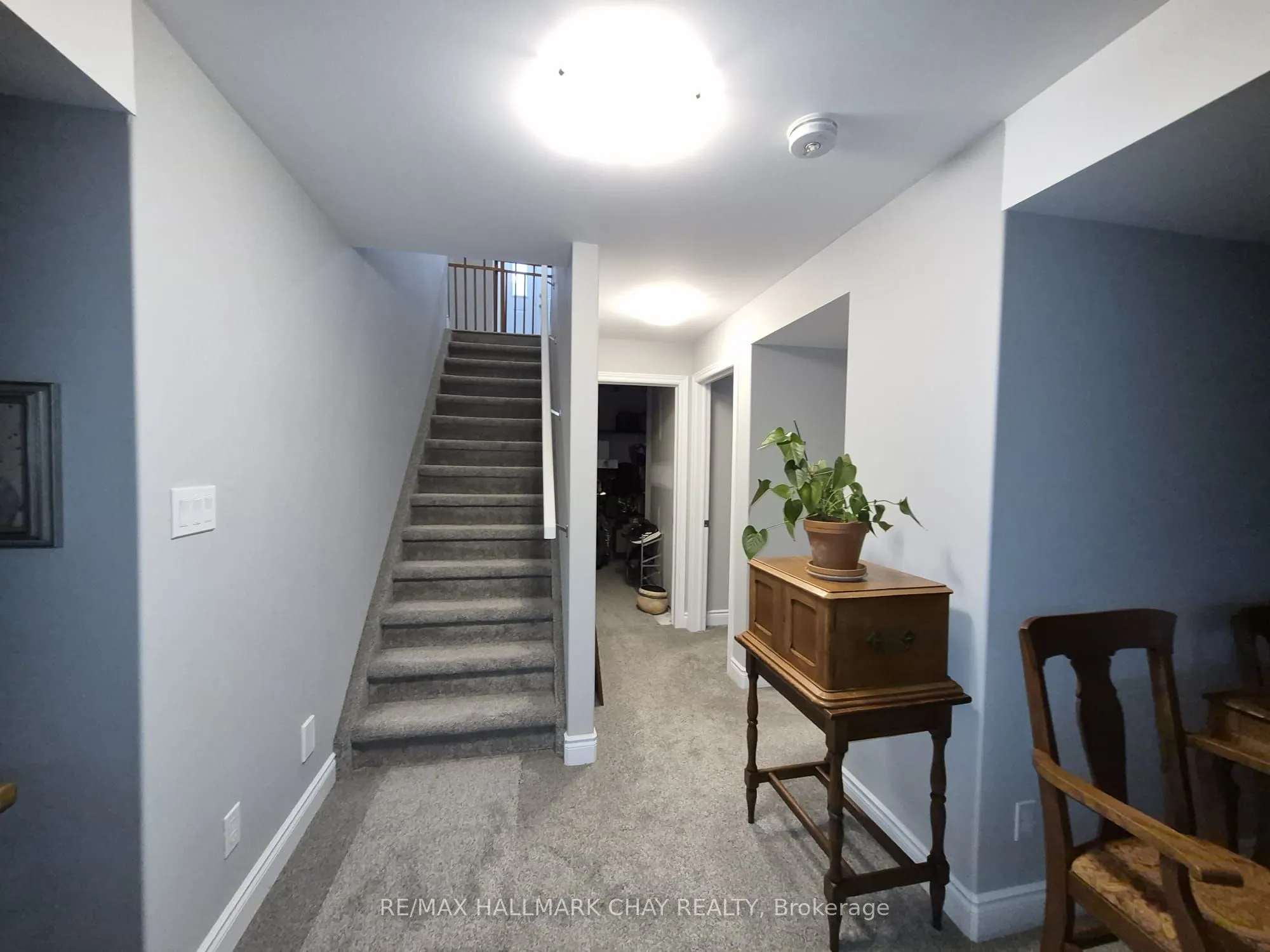 11 Rabbit Road
