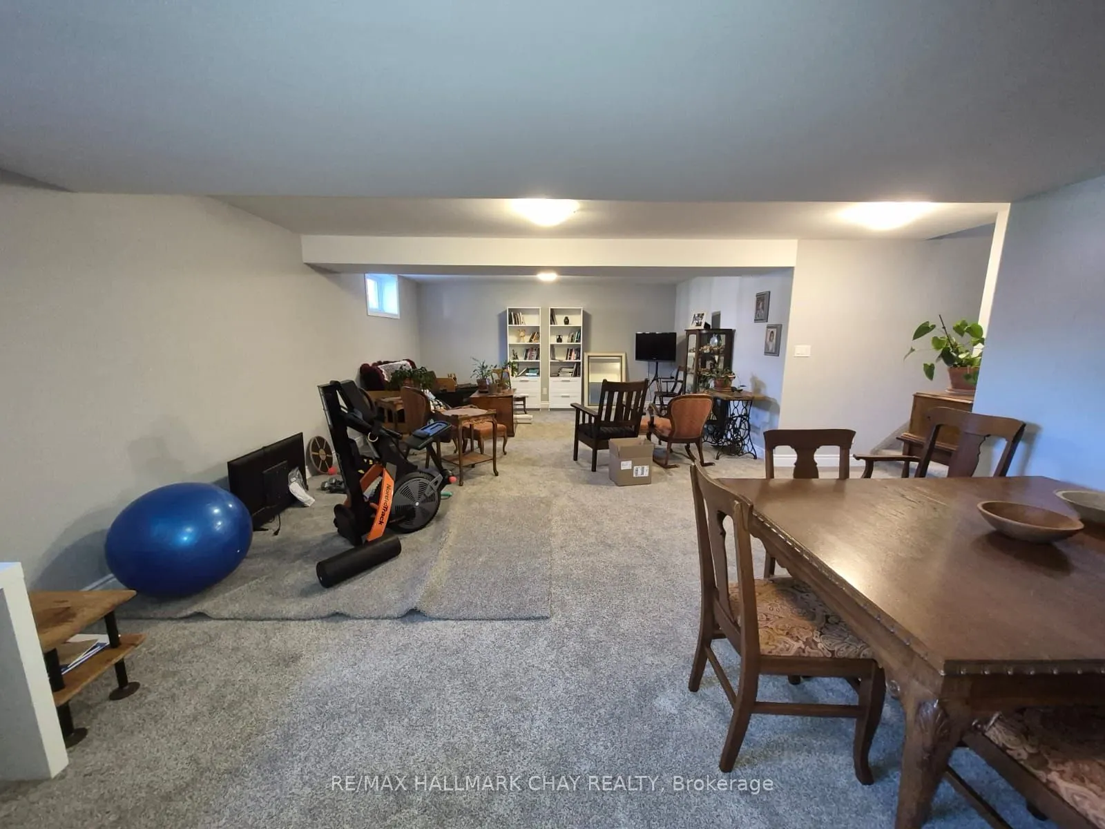11 Rabbit Road