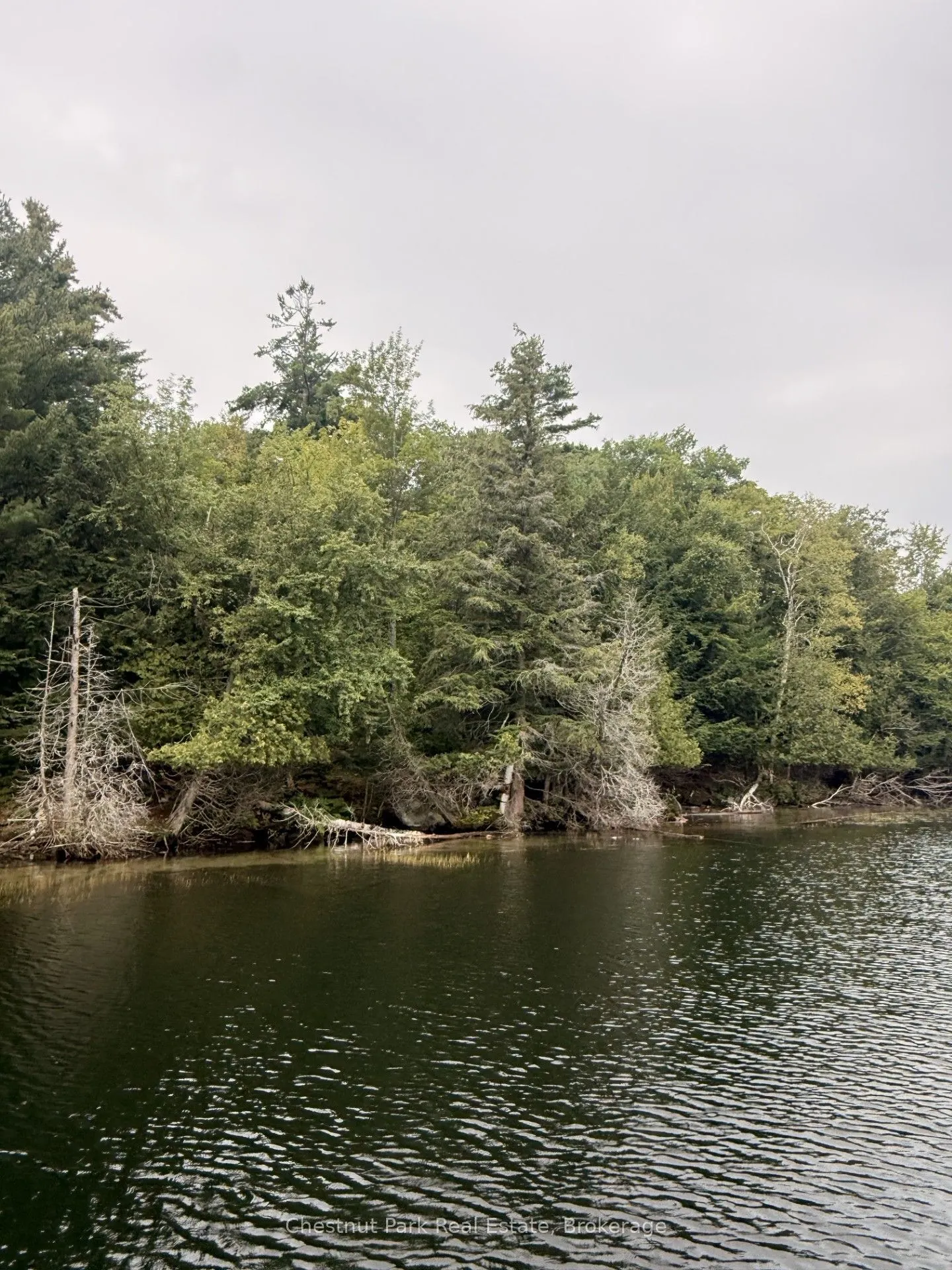 375 Peninsula Road