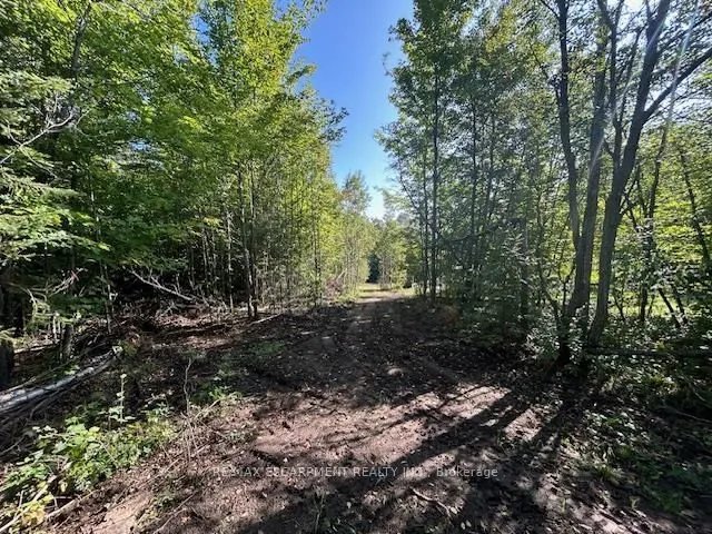 3275 MUSCLOW-GREENVIEW Road