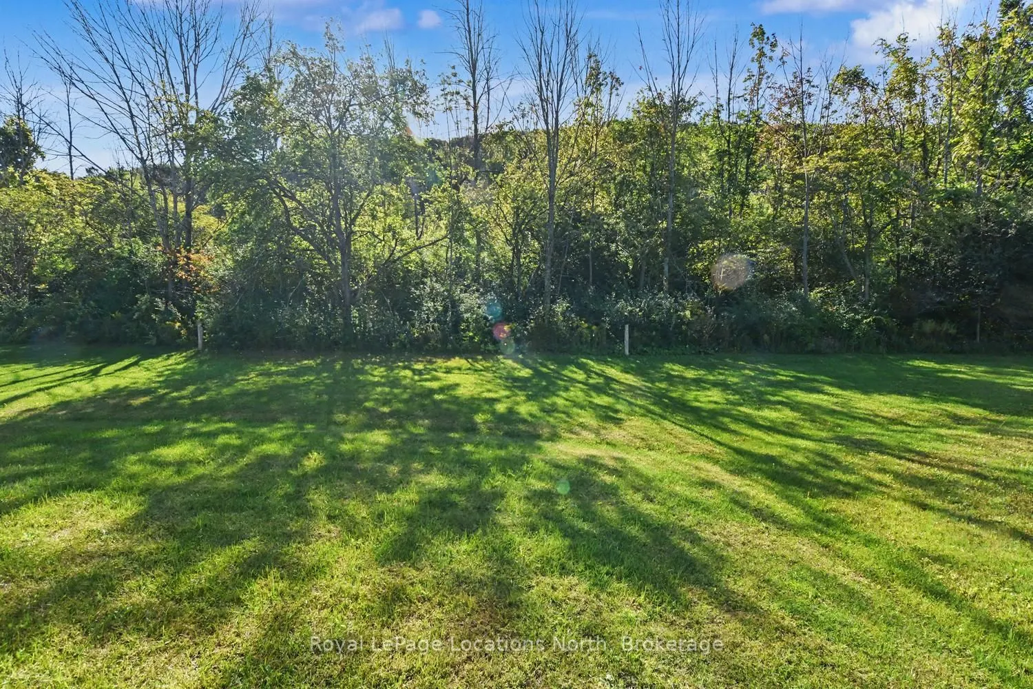 120 DOROTHY Drive
