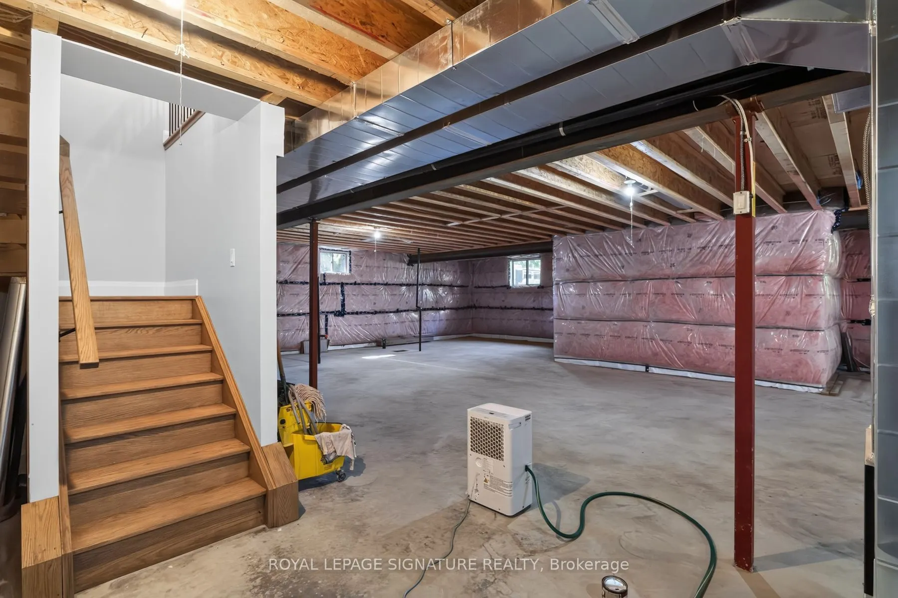 3 Kings Lane