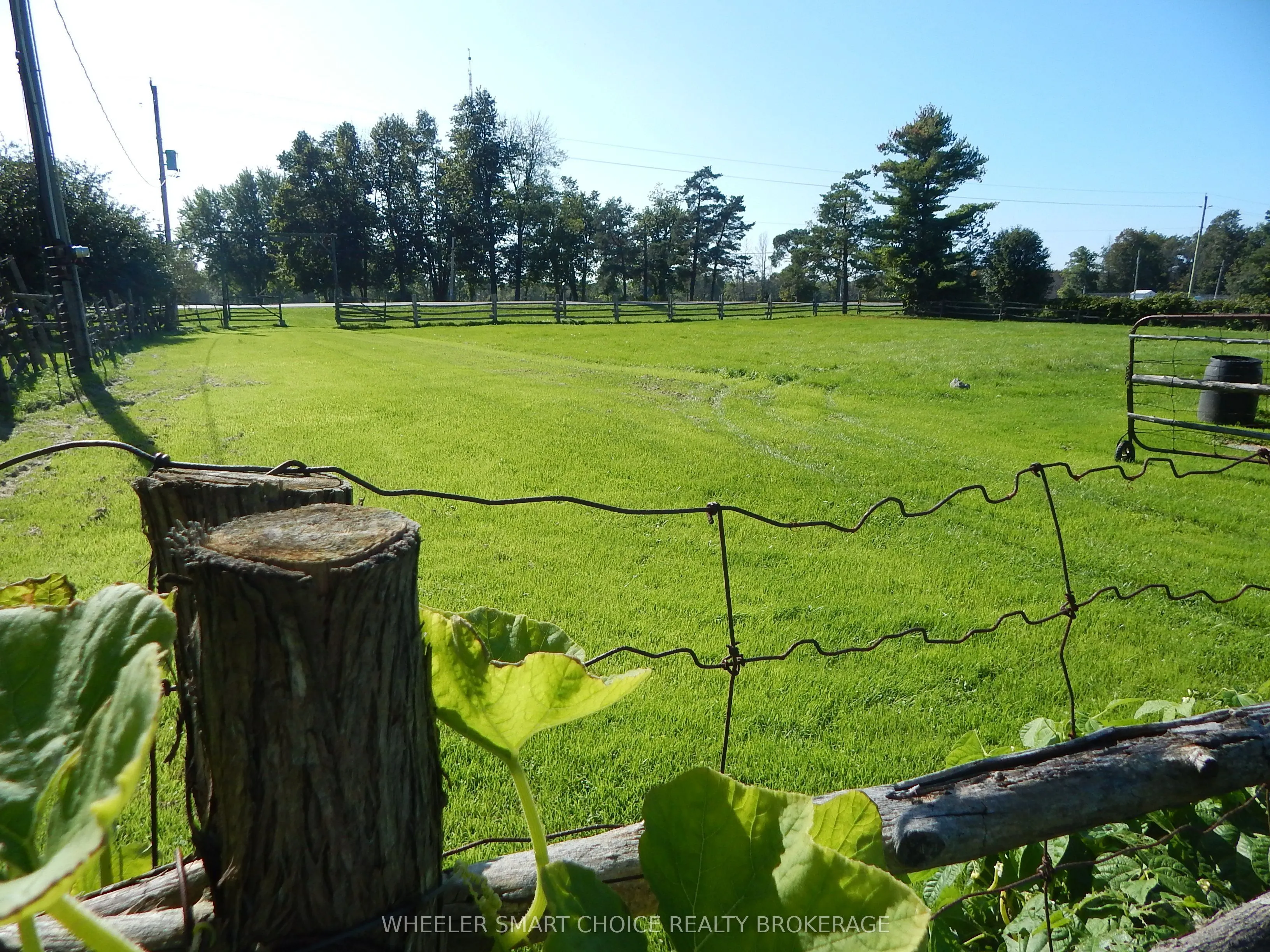 5181 County Road 15 (Avonmore Rd) Road
