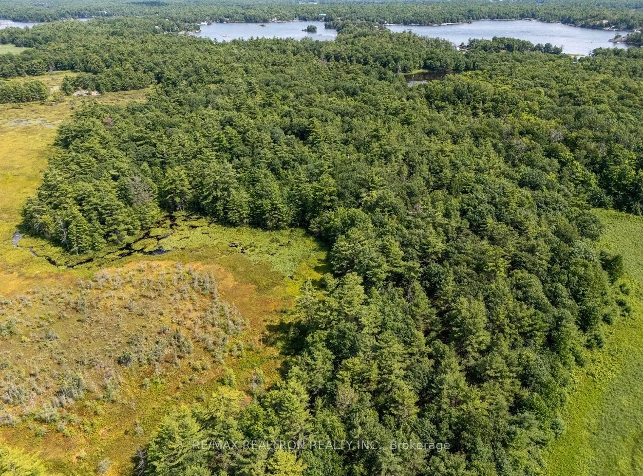 13610 Georgian Bay Shore