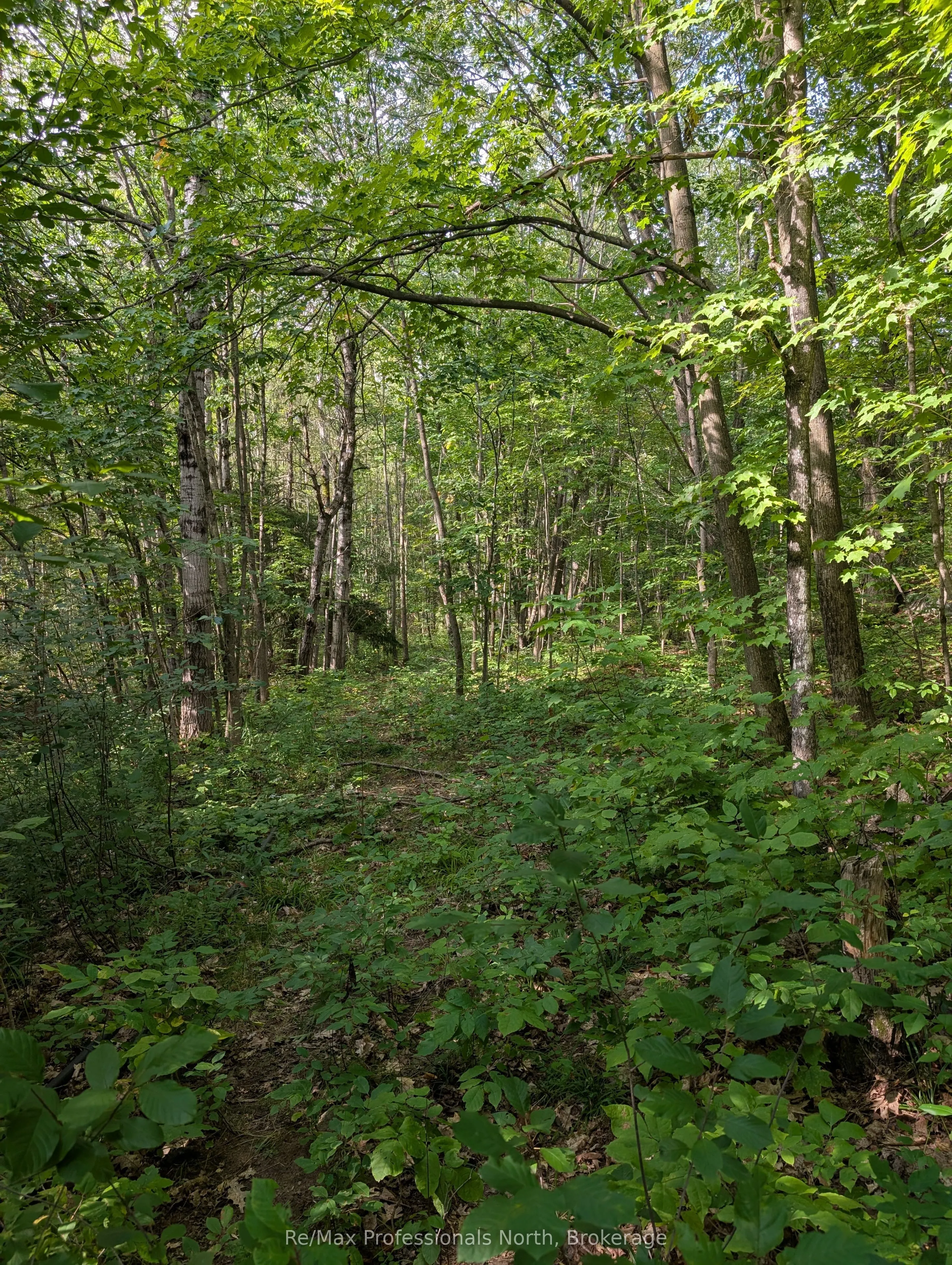 1268 Moon River Road