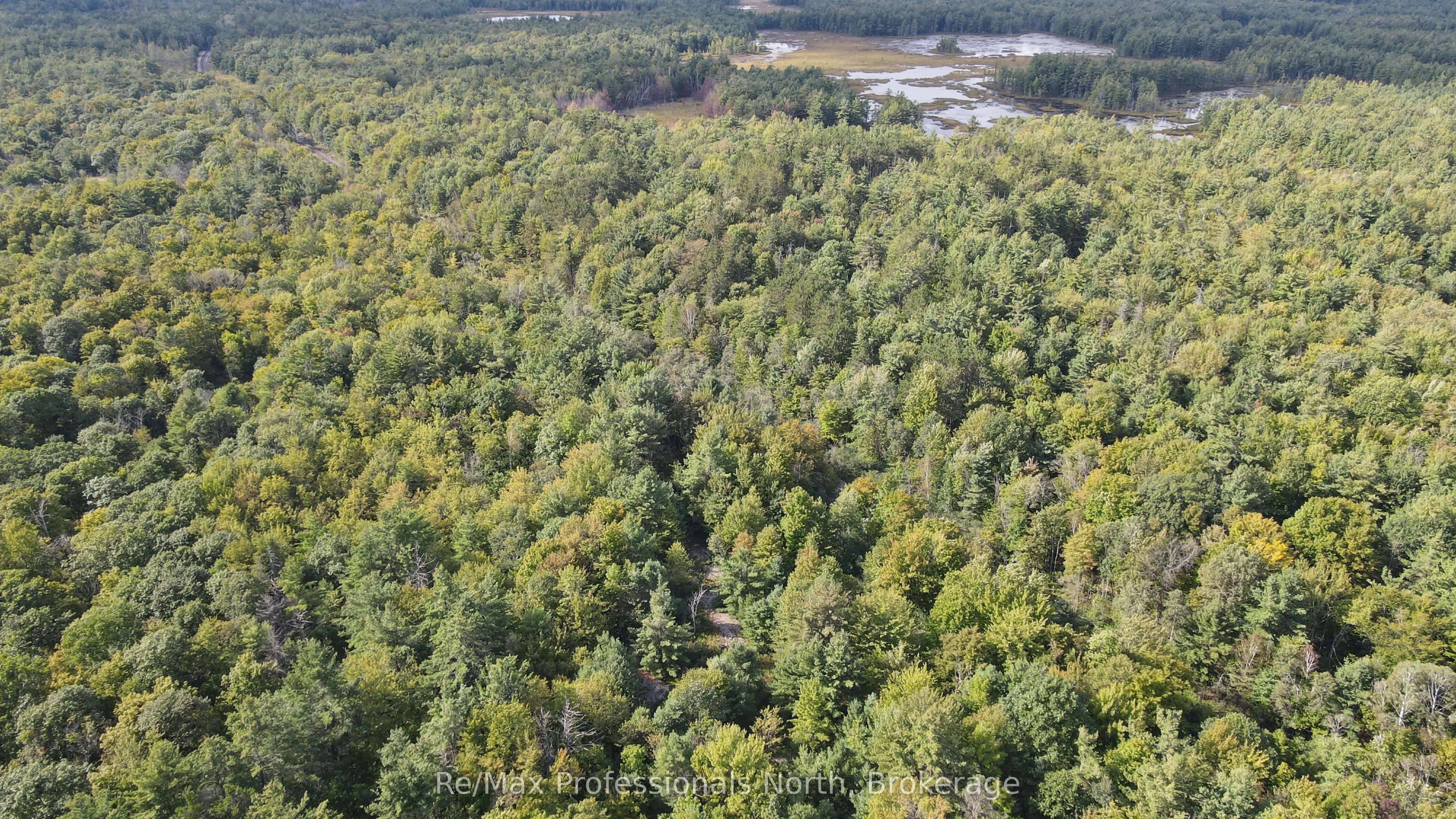 1268 Moon River Road