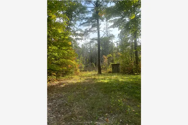 0 Pineview Court