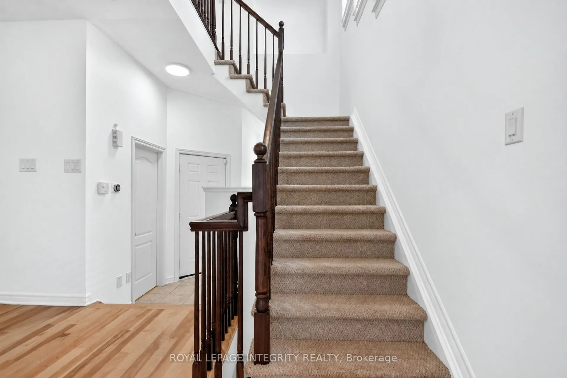 848 White Alder Avenue