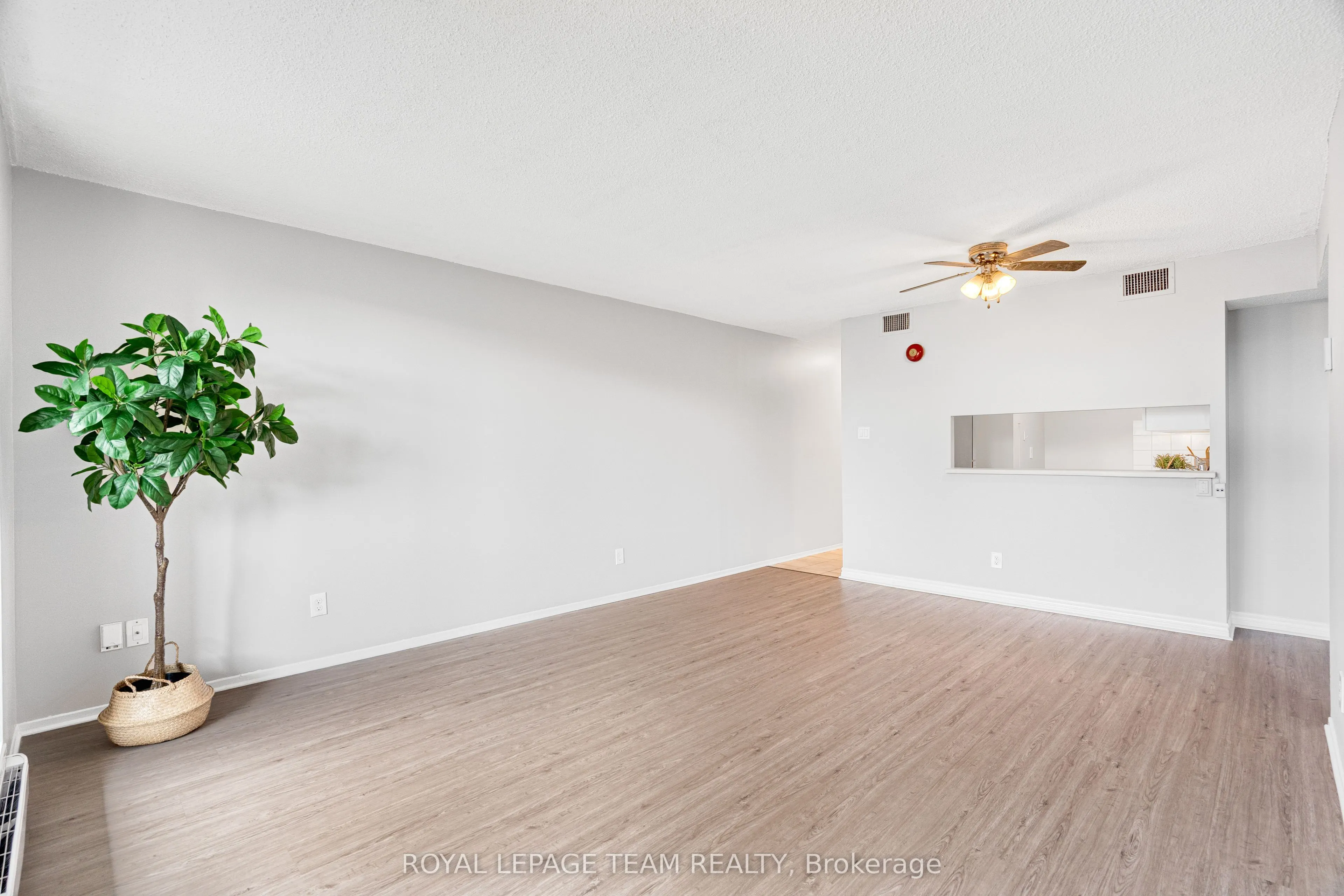 1180 OHIO Street #301