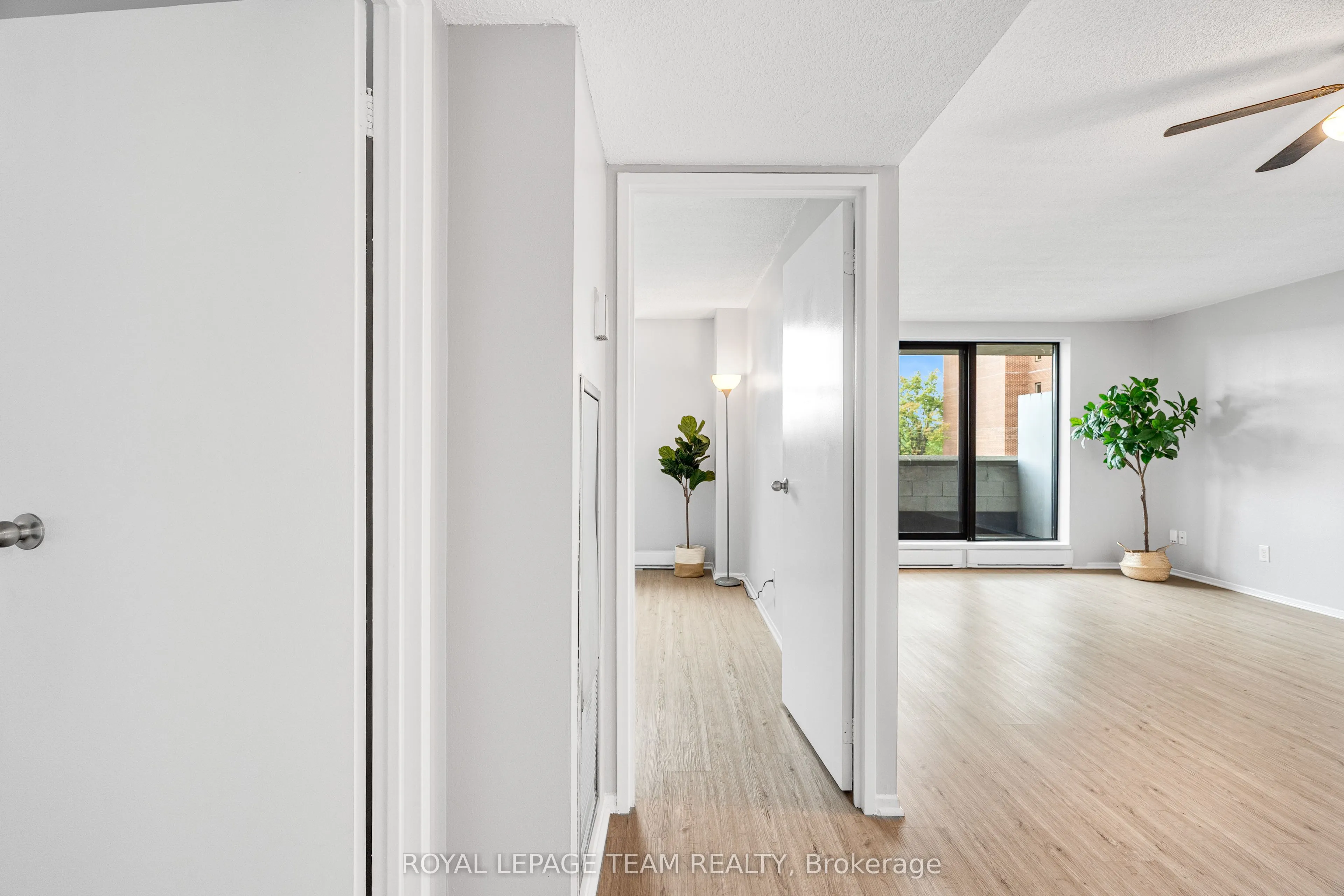 1180 OHIO Street #301
