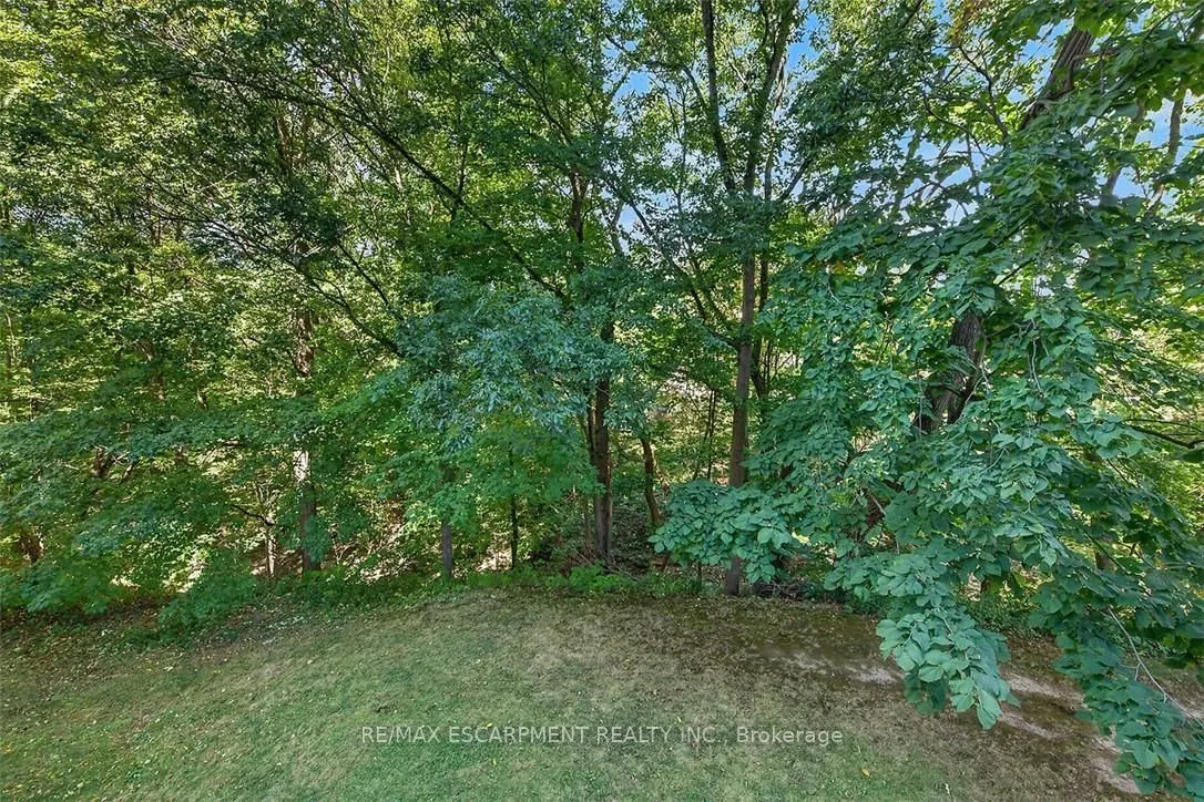 6 Village Green Boulevard #202