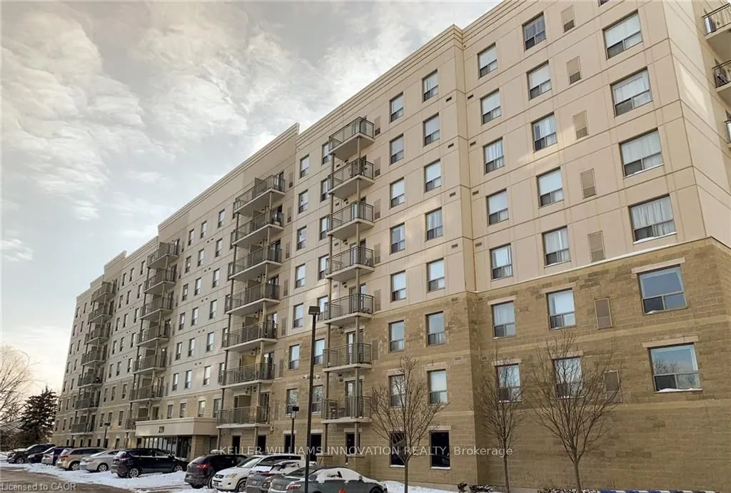 239 Auburn Drive #418