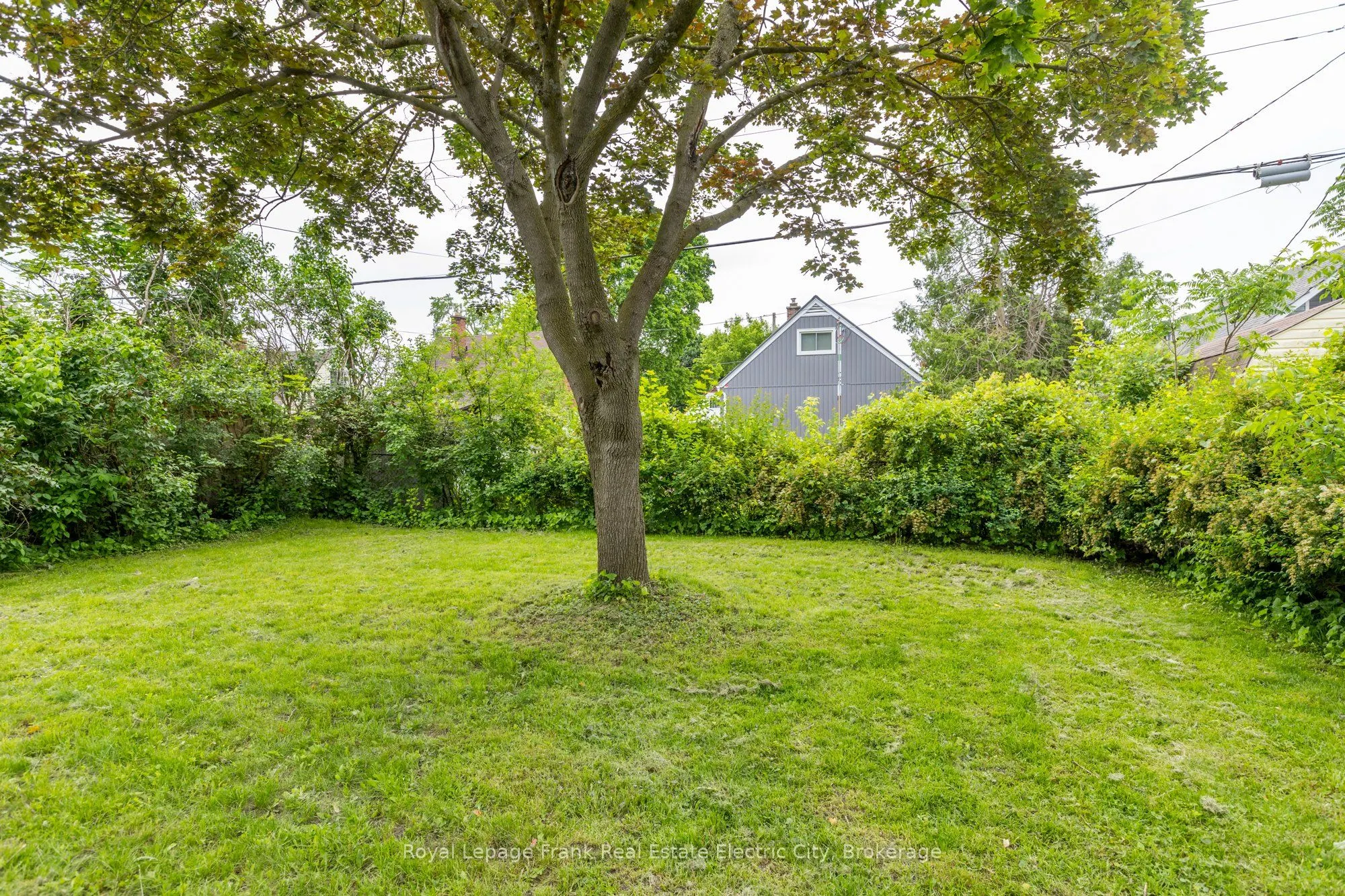 547 Rose Avenue