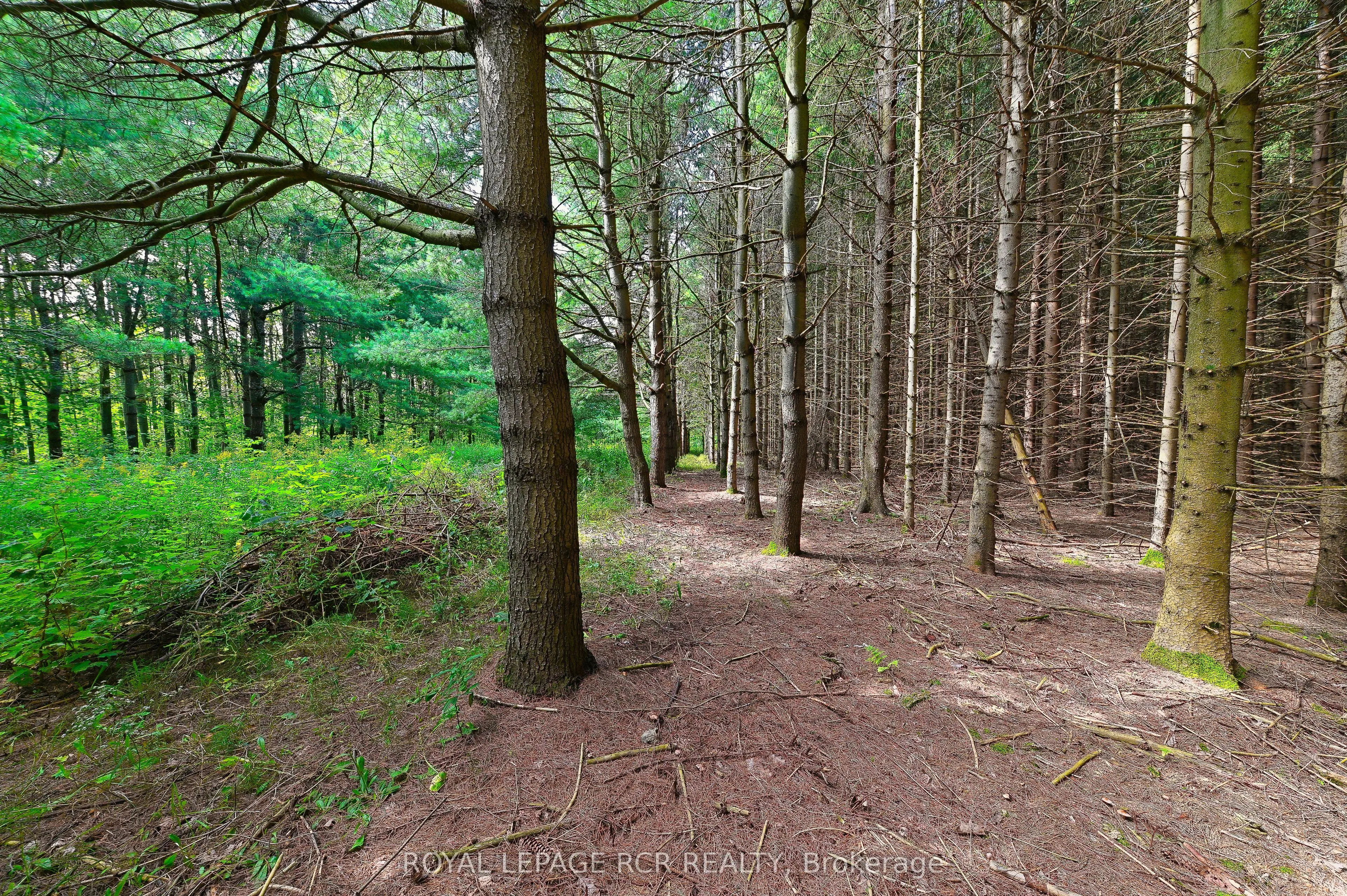 Lot 29 Prince of Wales Road