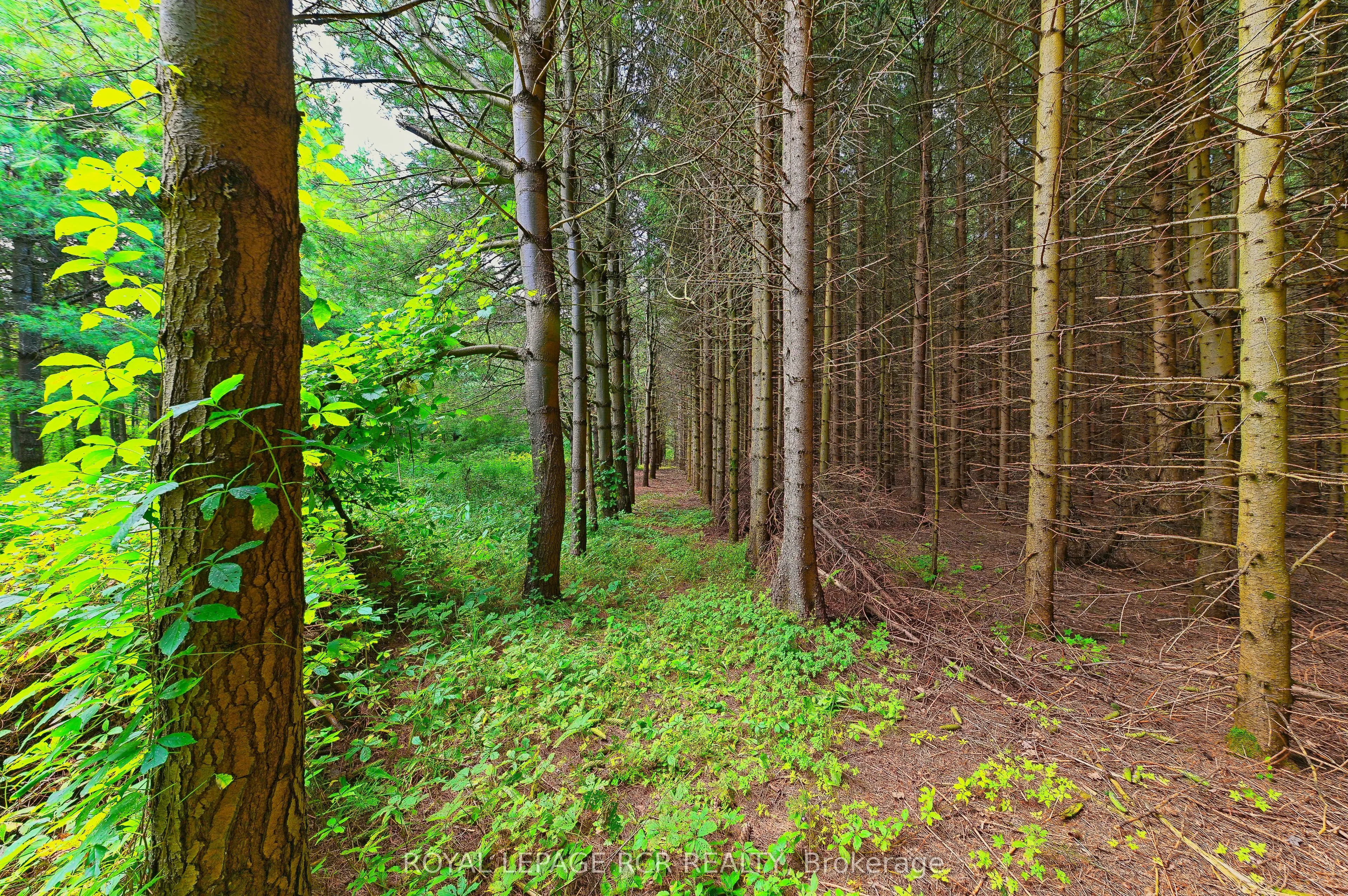 Lot 29 Prince of Wales Road