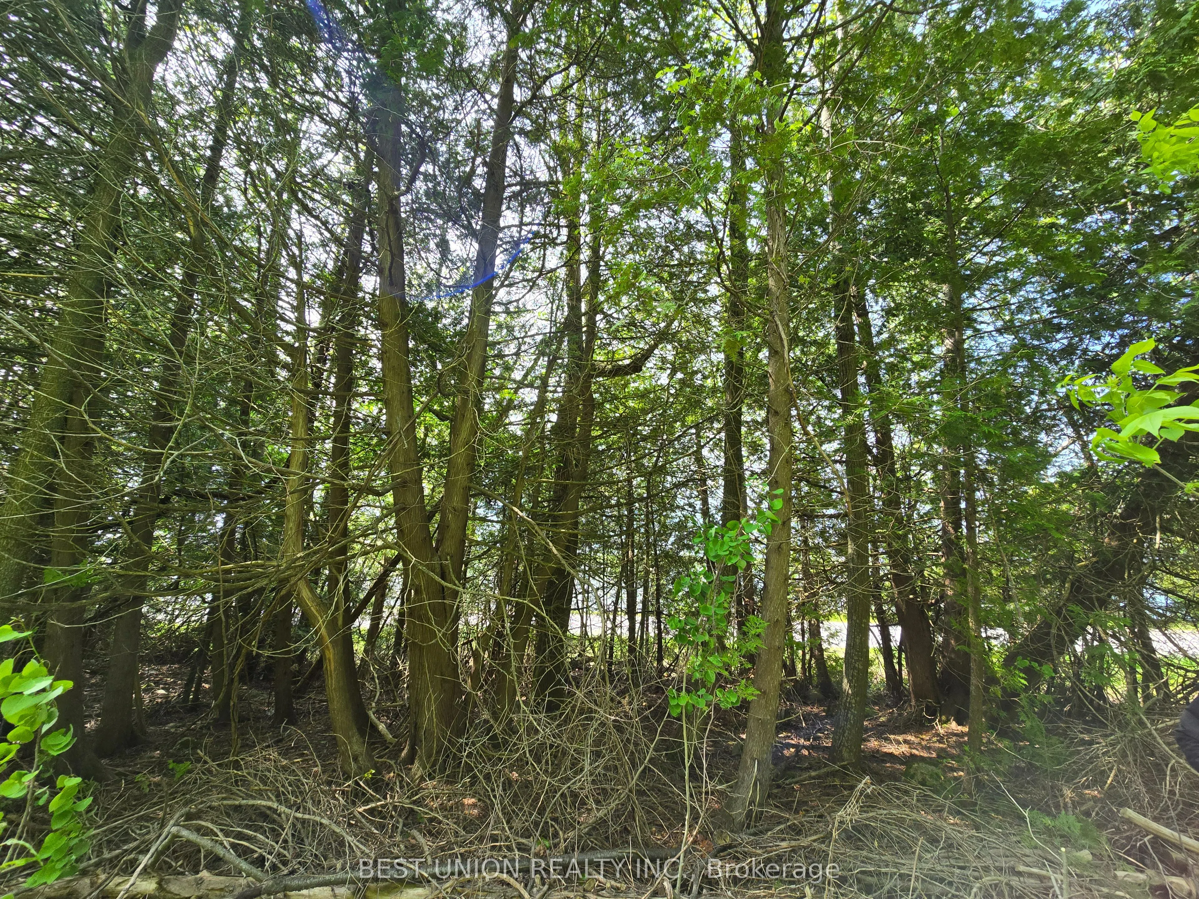 LOT1 Red Bay Road