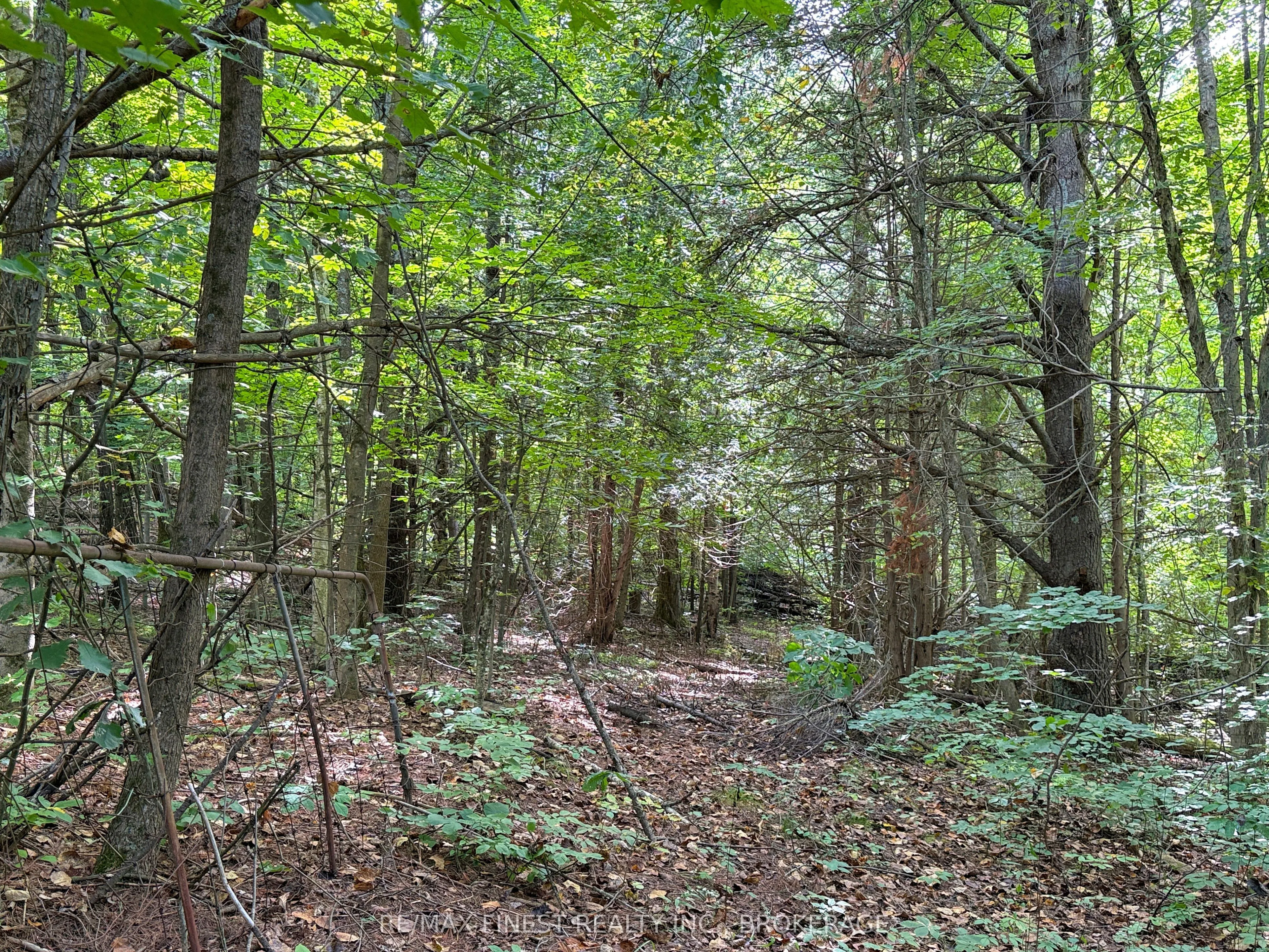 4900 County Rd 4