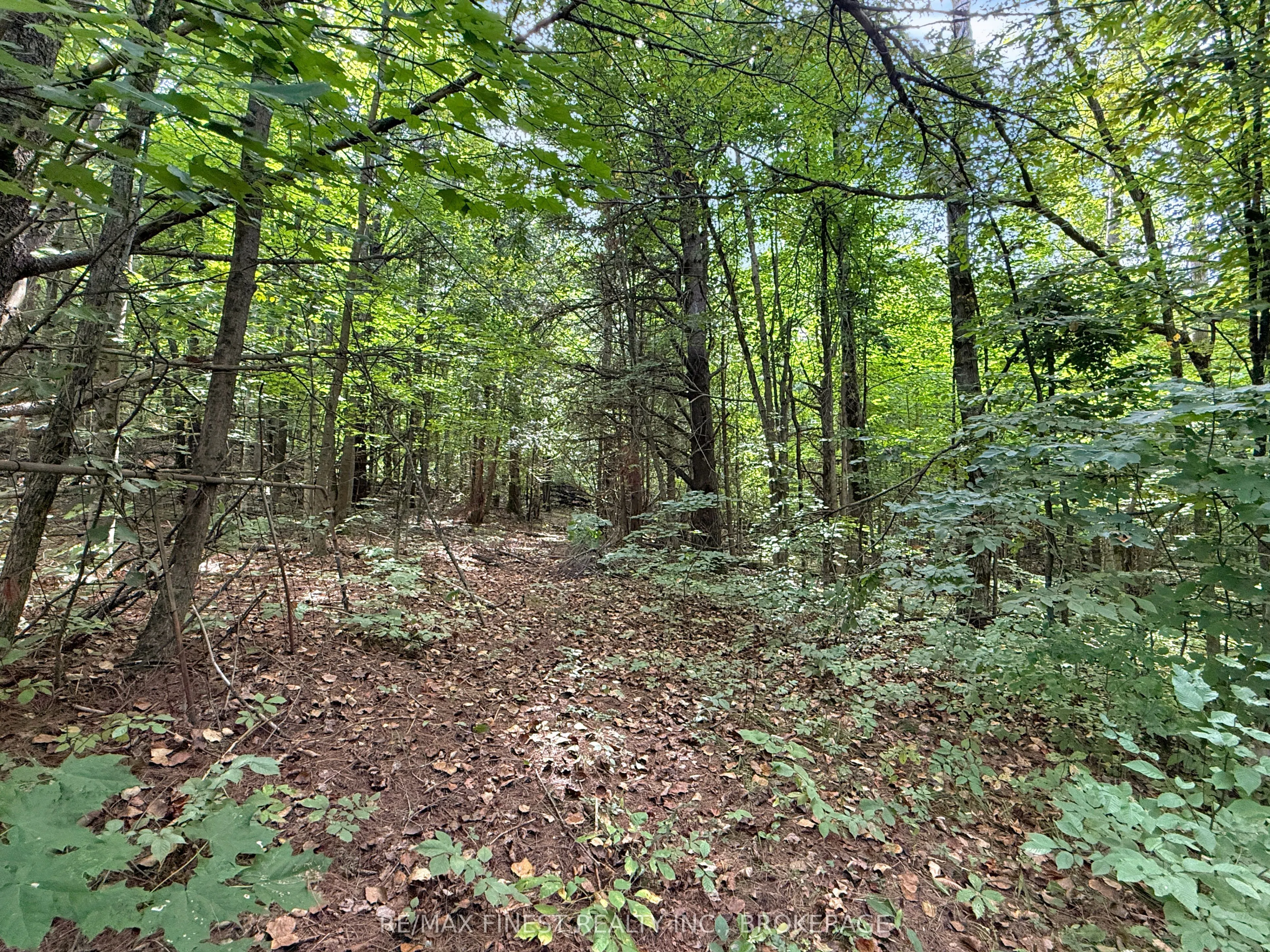 4900 County Rd 4