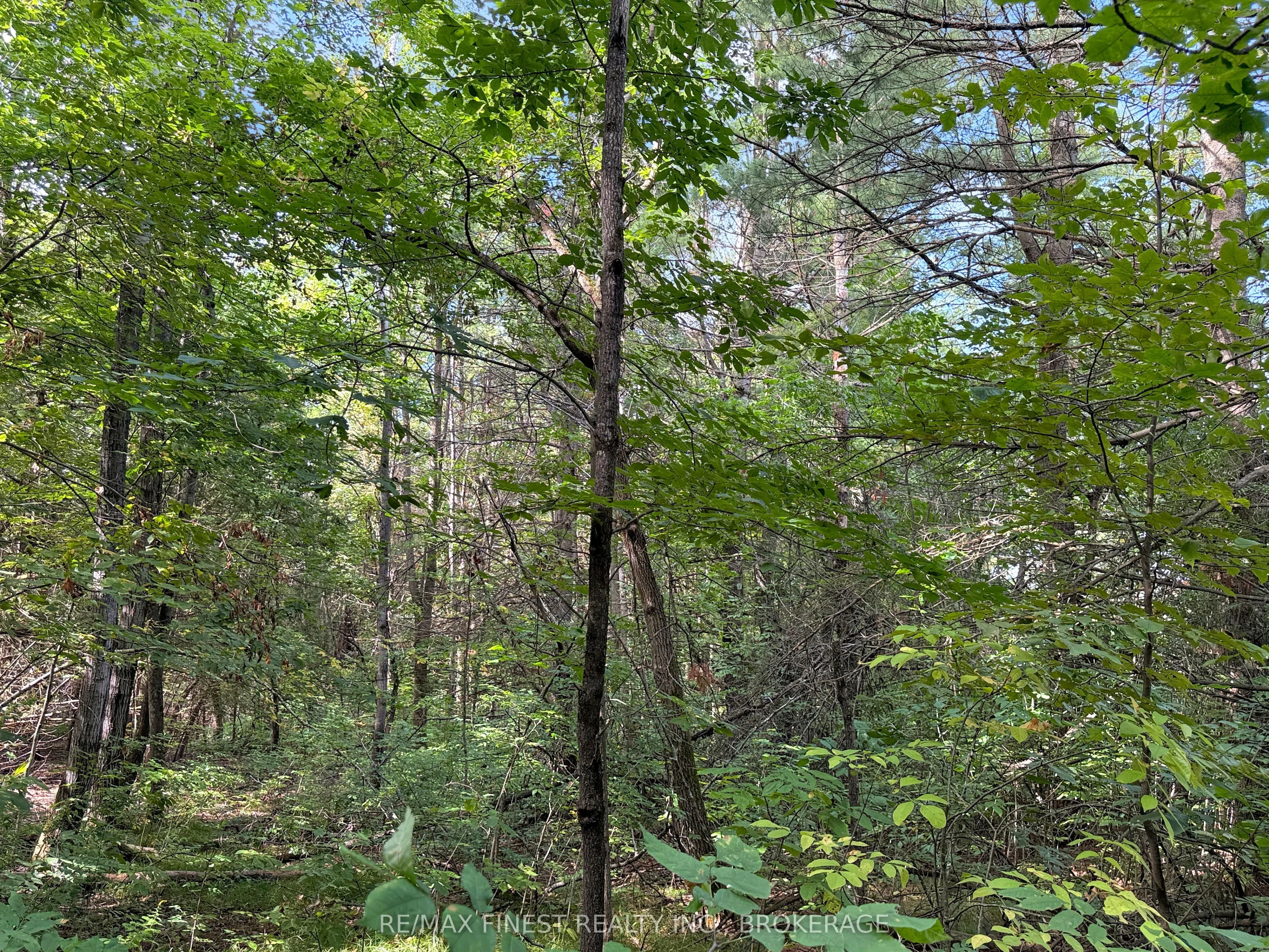 4900 County Rd 4