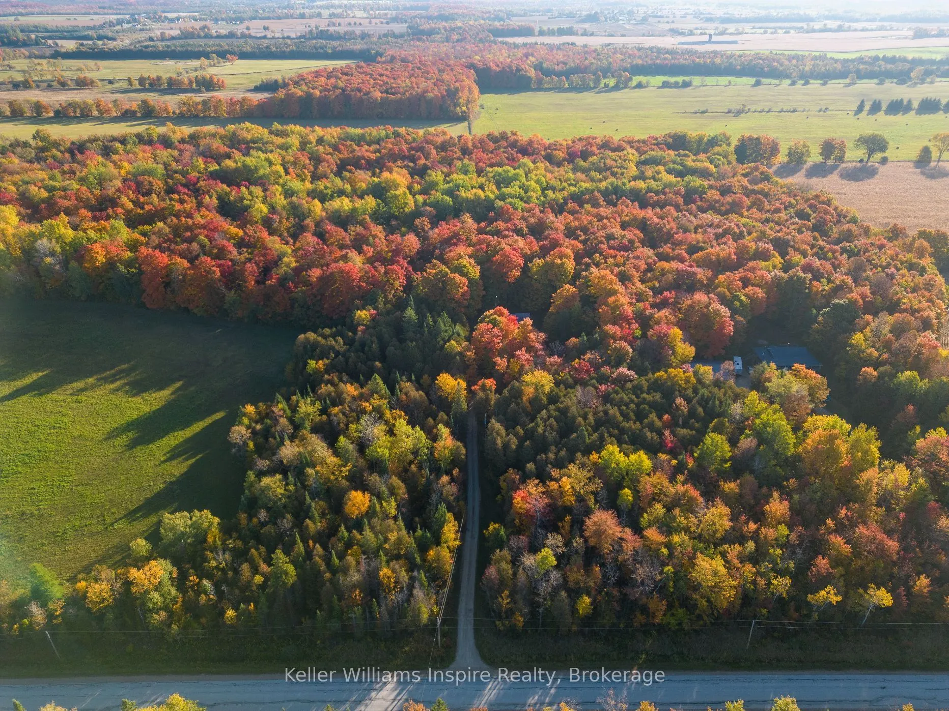 492513 Southgate Sideroad 49