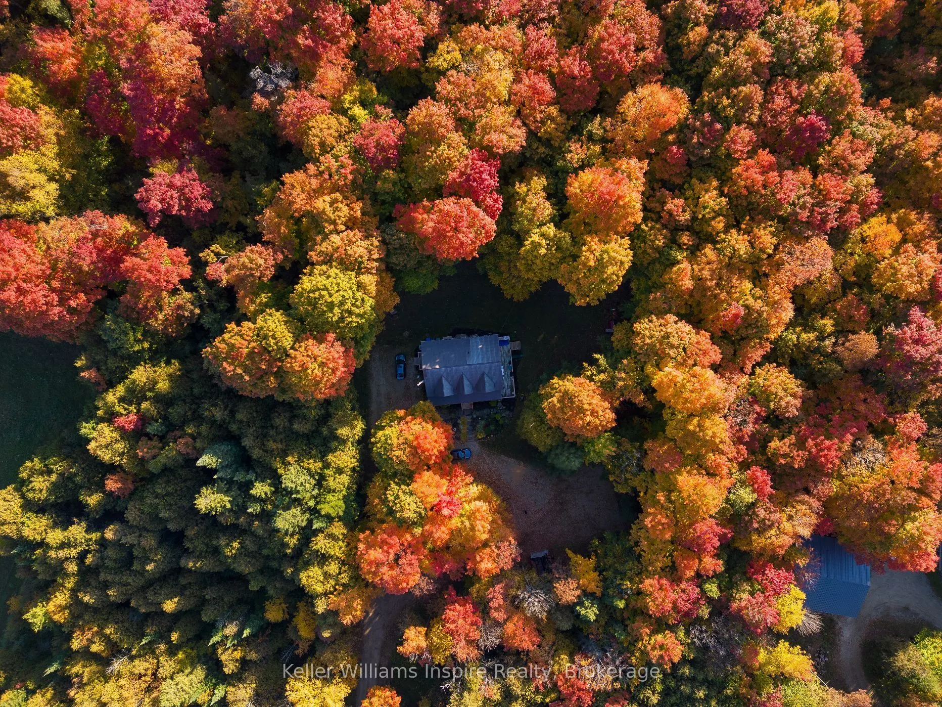 492513 Southgate Sideroad 49