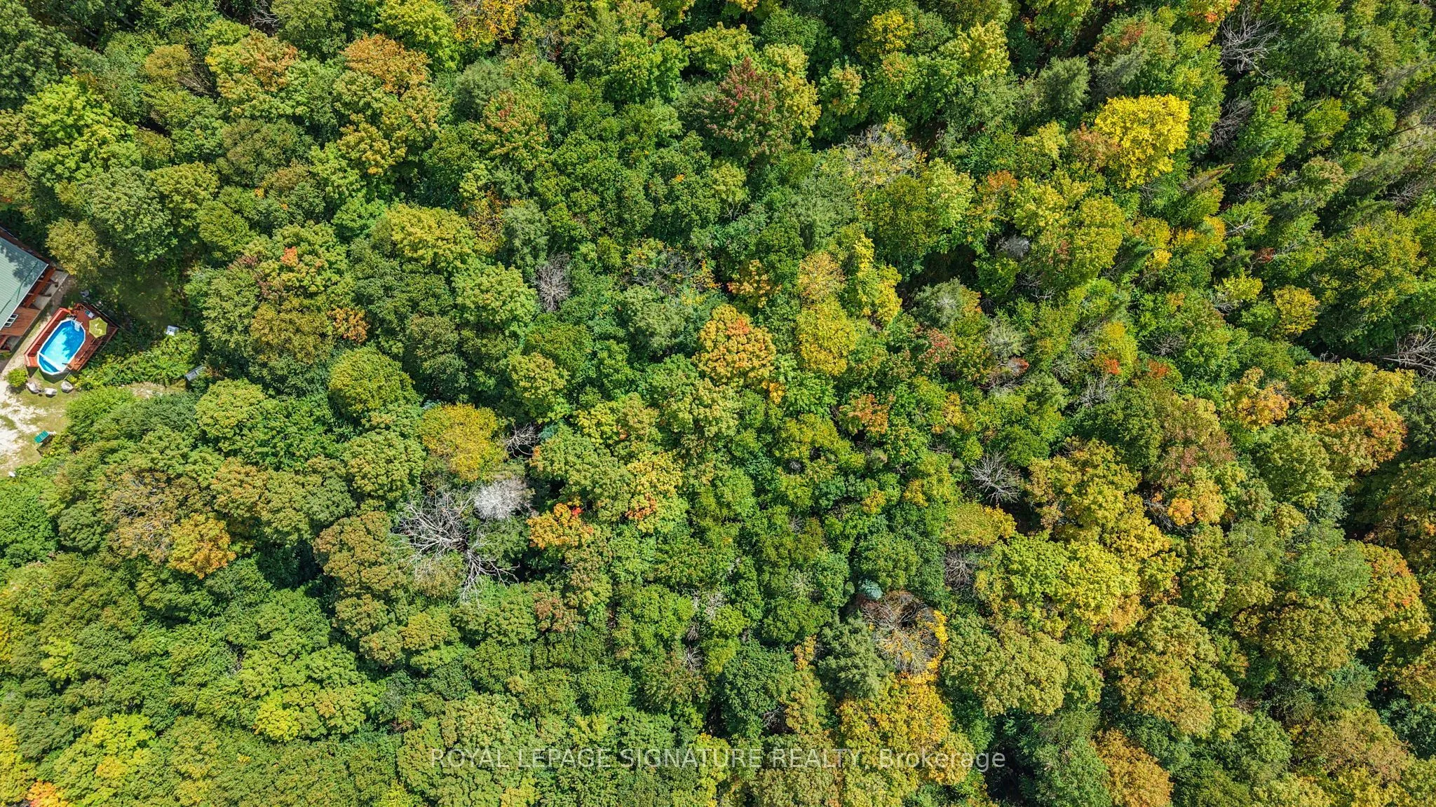 4177 Kennisis Lake Road