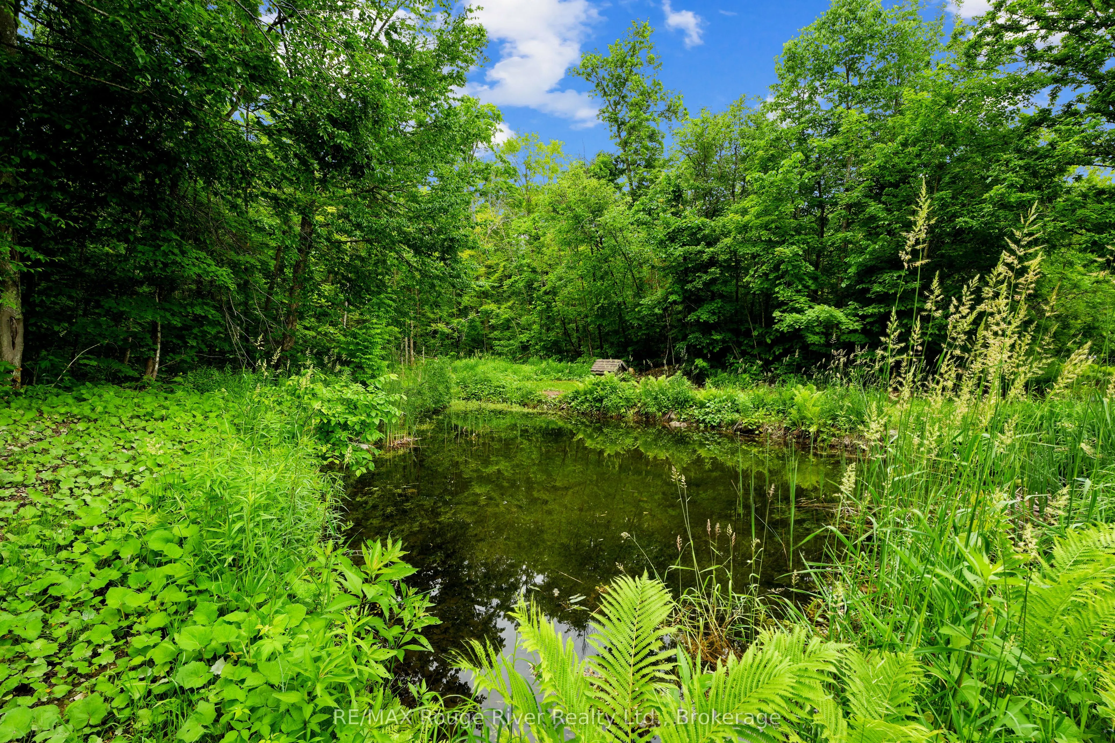 559 County Road 47 Road N