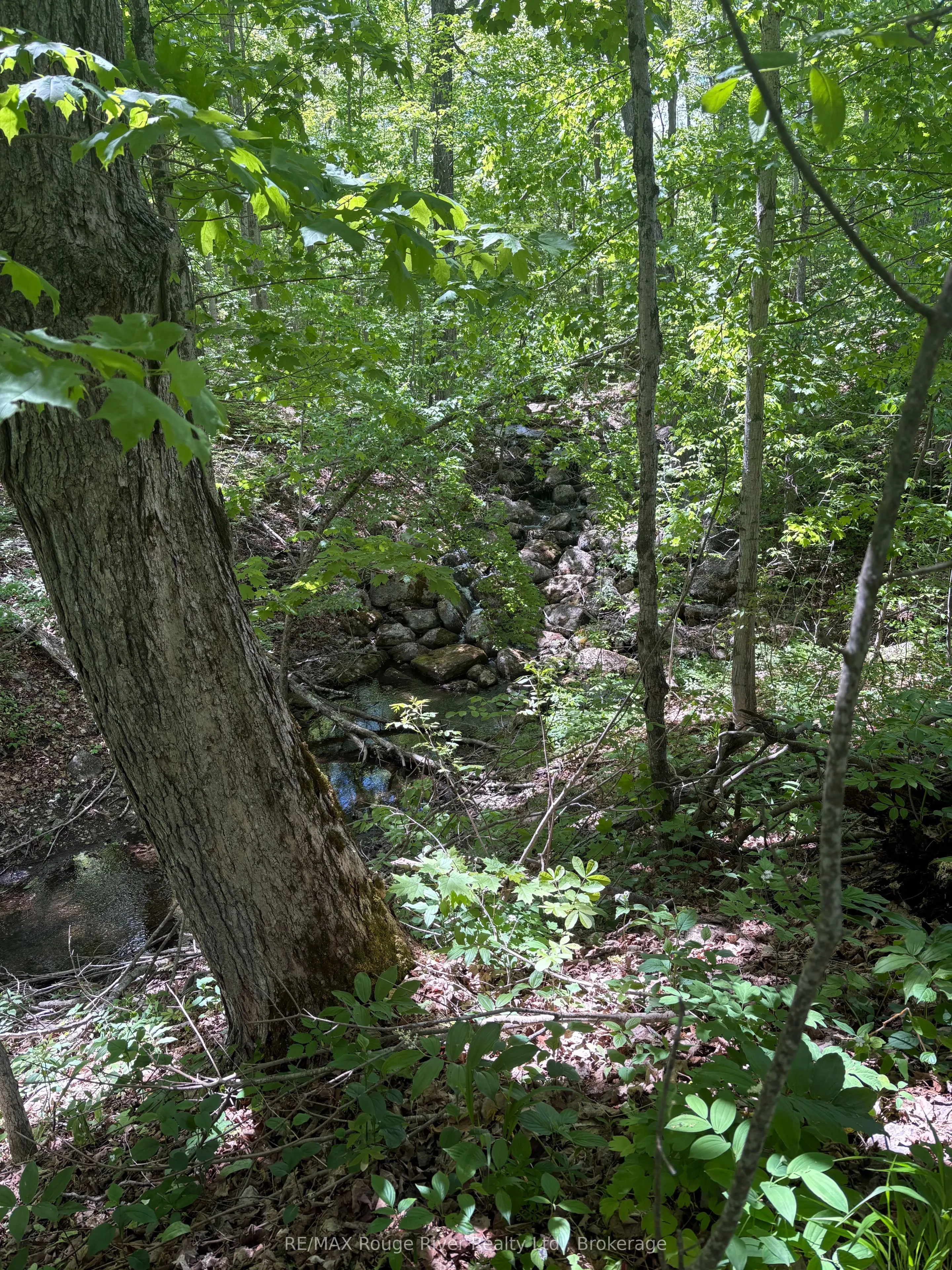 559 County Road 47 Road N