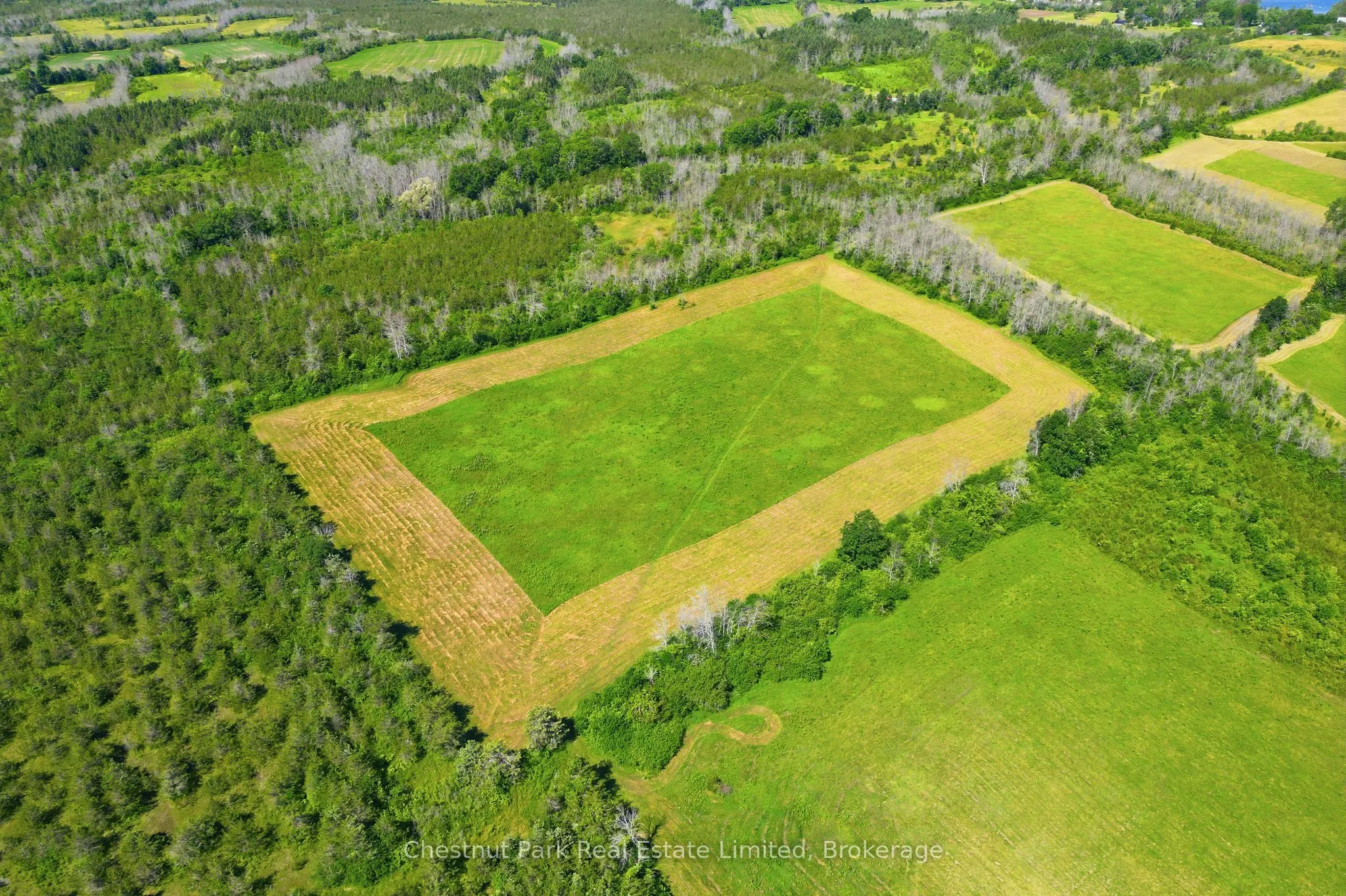 2650 County Road 13