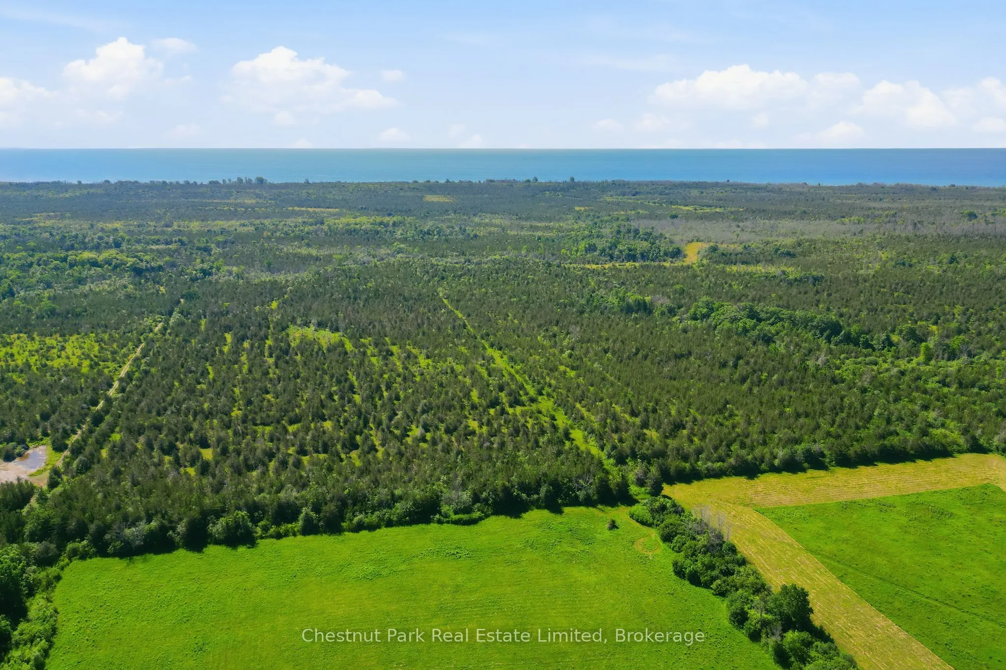2650 County Road 13