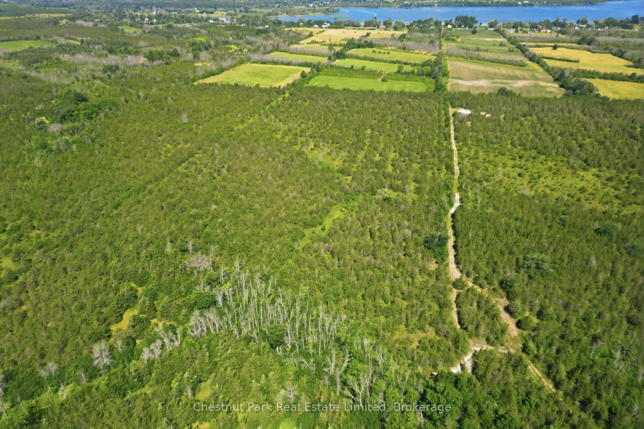 2650 County Road 13